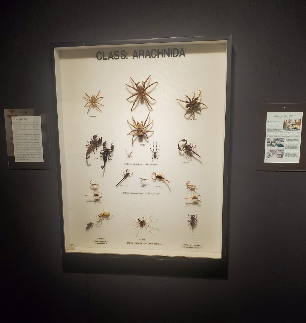 Butterfly World (2022) - Bug Museum & Zoo