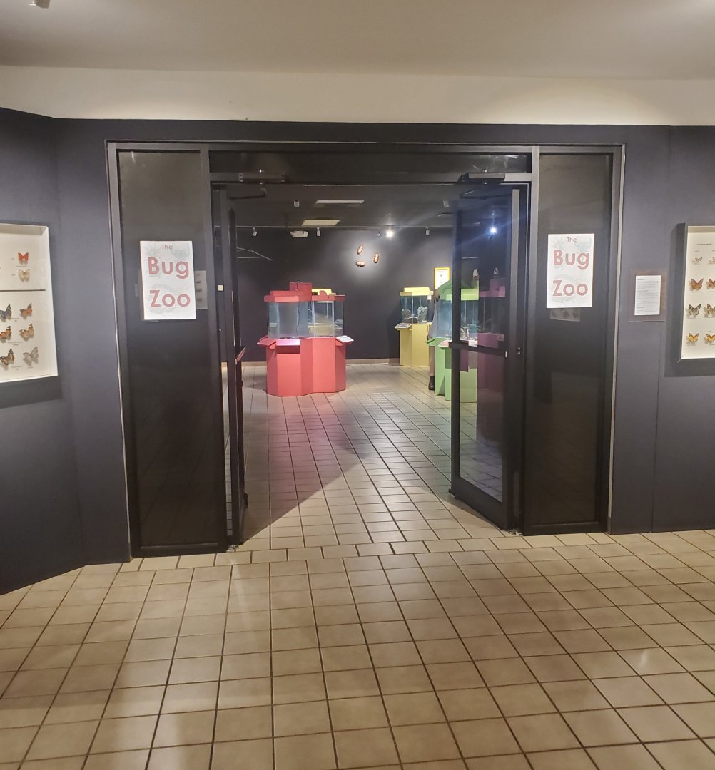 Butterfly World (2022) - Bug  Zoo Entrance