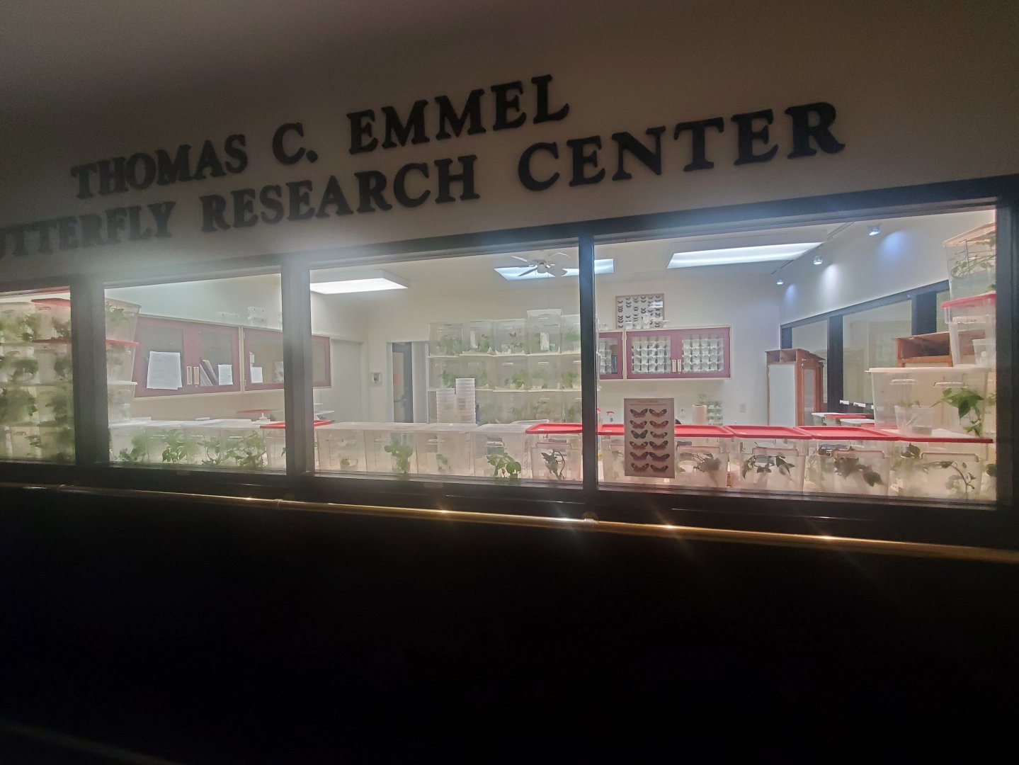 Butterfly World (2022) - Caterpillar Room