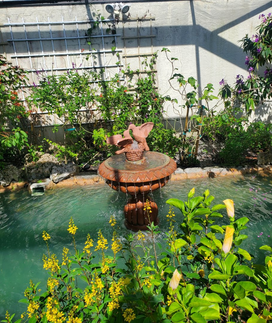 Butterfly World (2022) - Garden Fountain