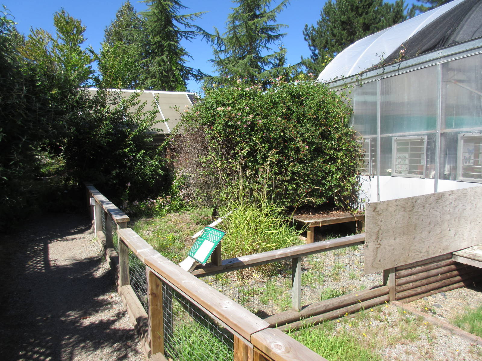 Butterfly World - African Spurred Tortoise Outdoor Exhibit