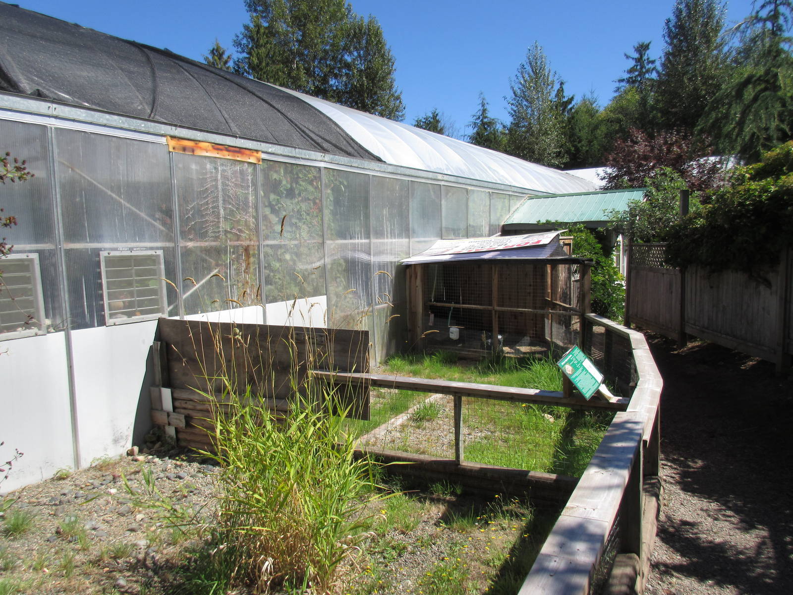 Butterfly World - African Spurred Tortoise Outdoor Exhibit