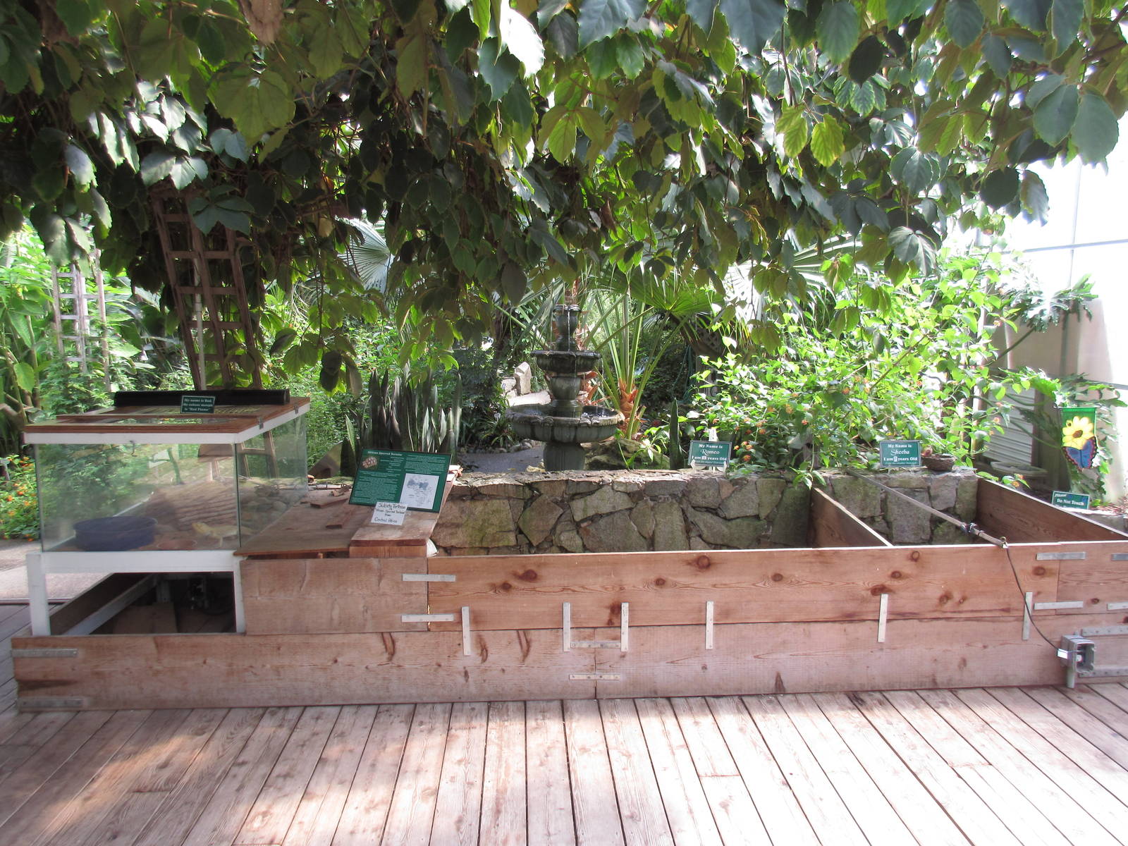 Butterfly World - African Spurred Tortoise + Red-Foot Tortoise Exhibits