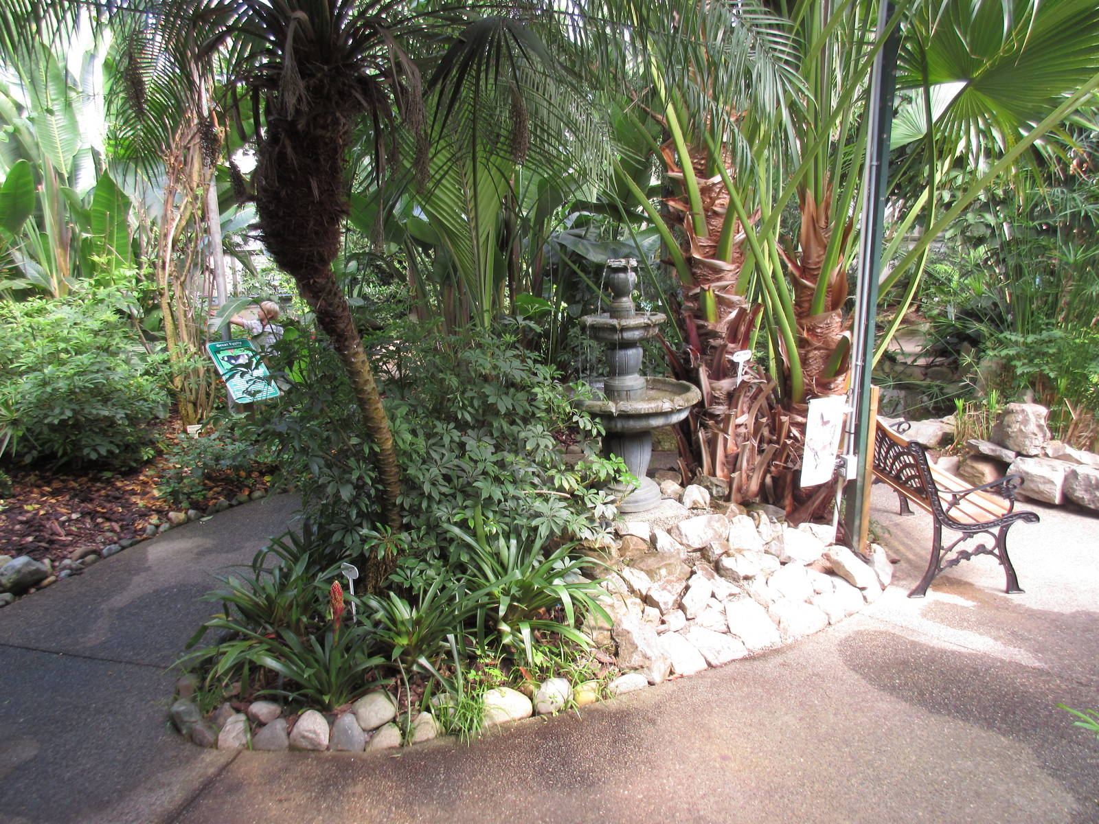 Butterfly World - Indoor Jungle