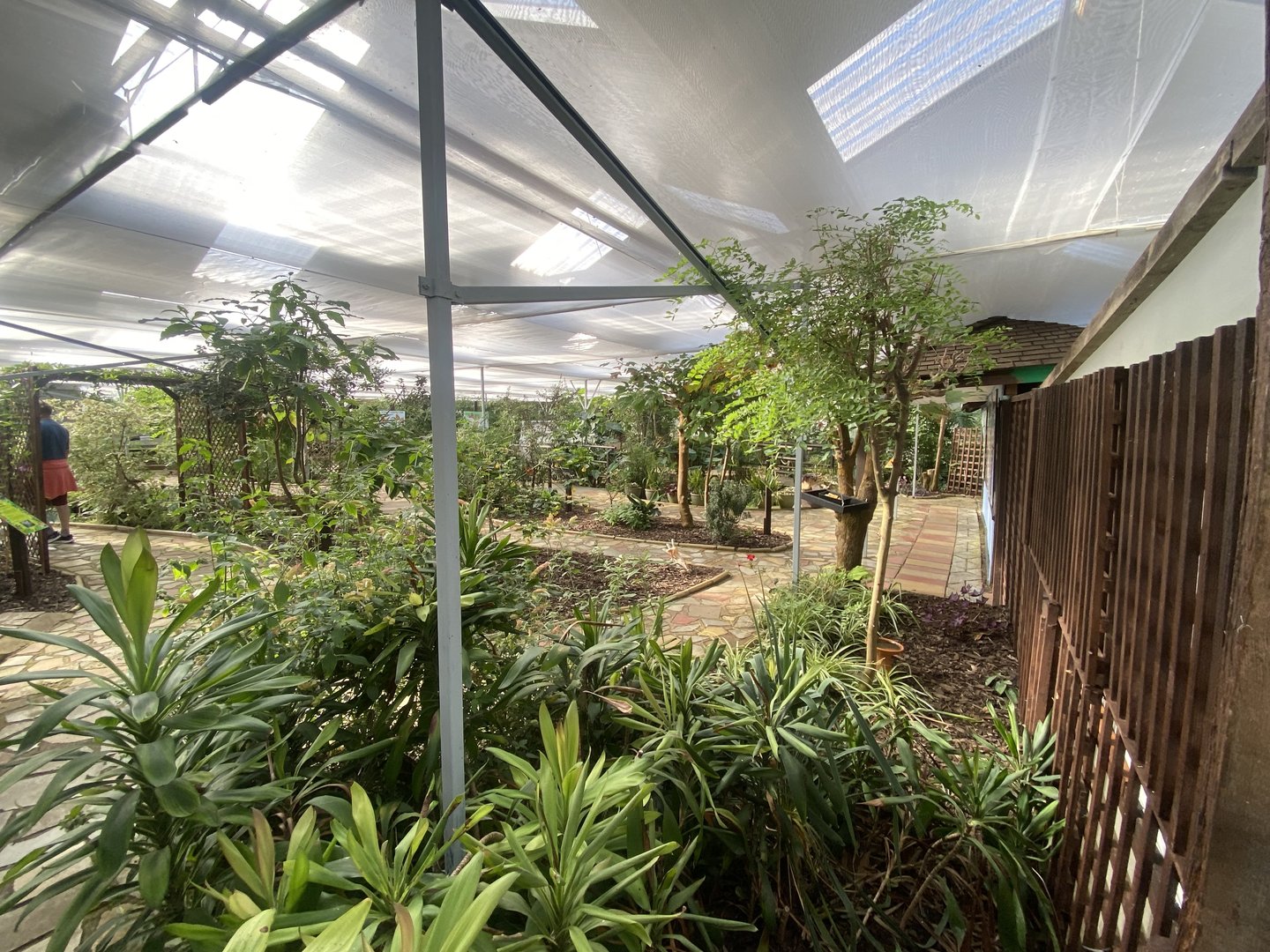 Butterfly World IOW 140923