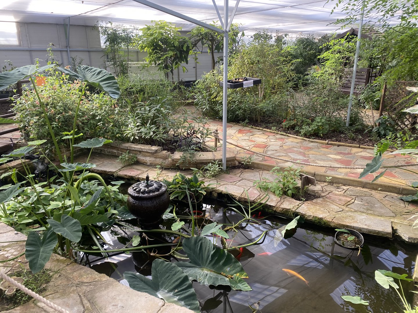 Butterfly World IOW 140923