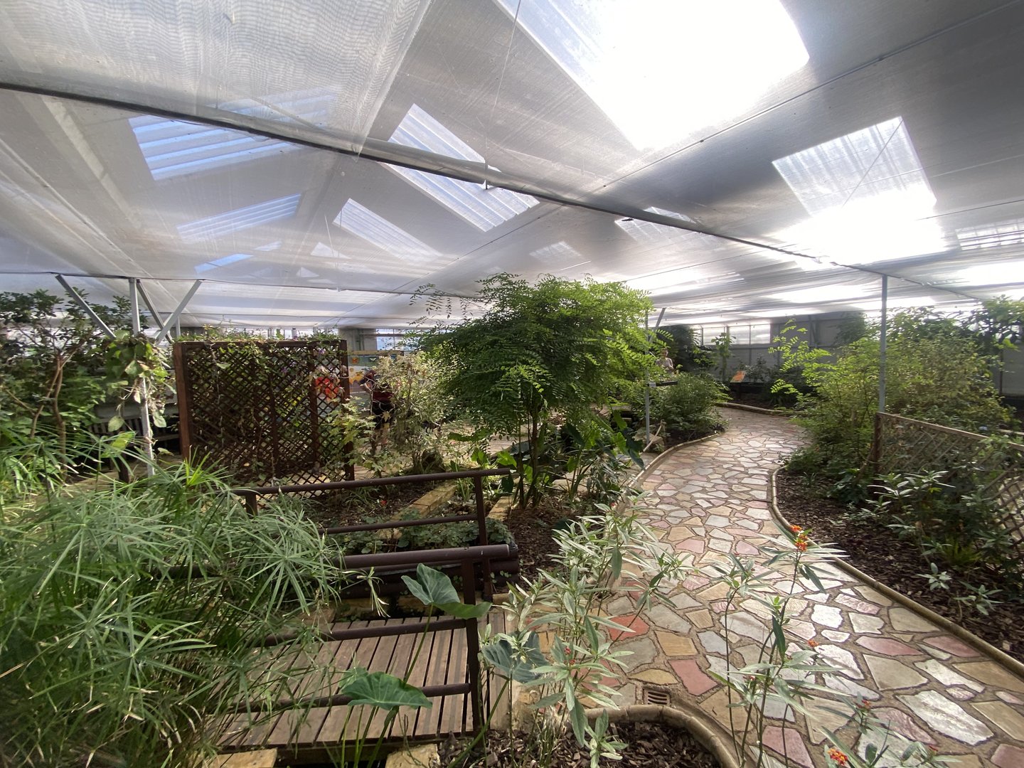 Butterfly World IOW 140923