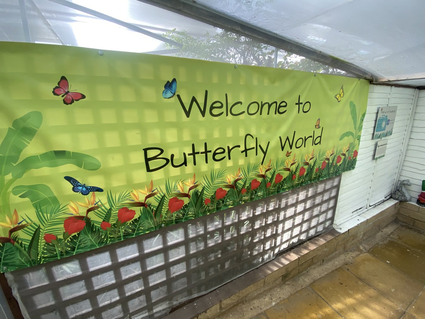 Butterfly World IOW - Entrance area 140923