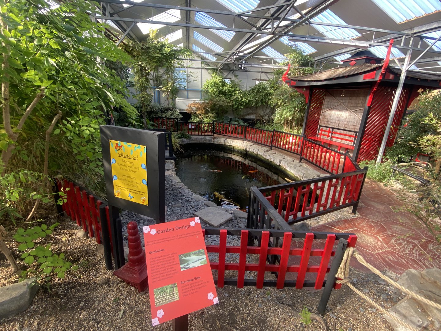 Butterfly World IOW - Japanese Garden 140923