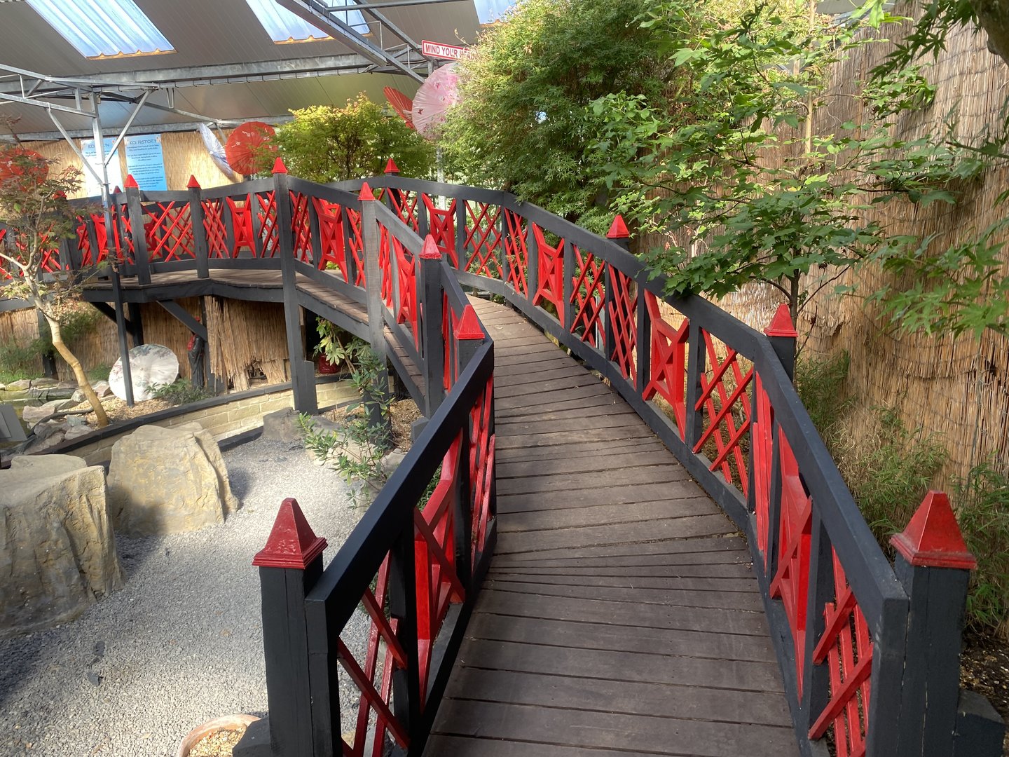 Butterfly World IOW - Japanese Garden 140923