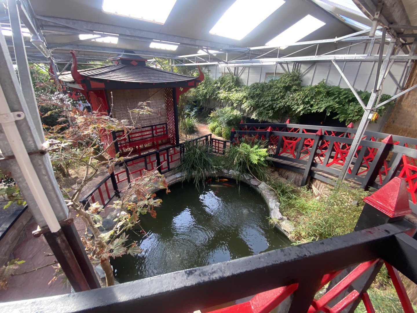 Butterfly World IOW - Japanese Garden 140923
