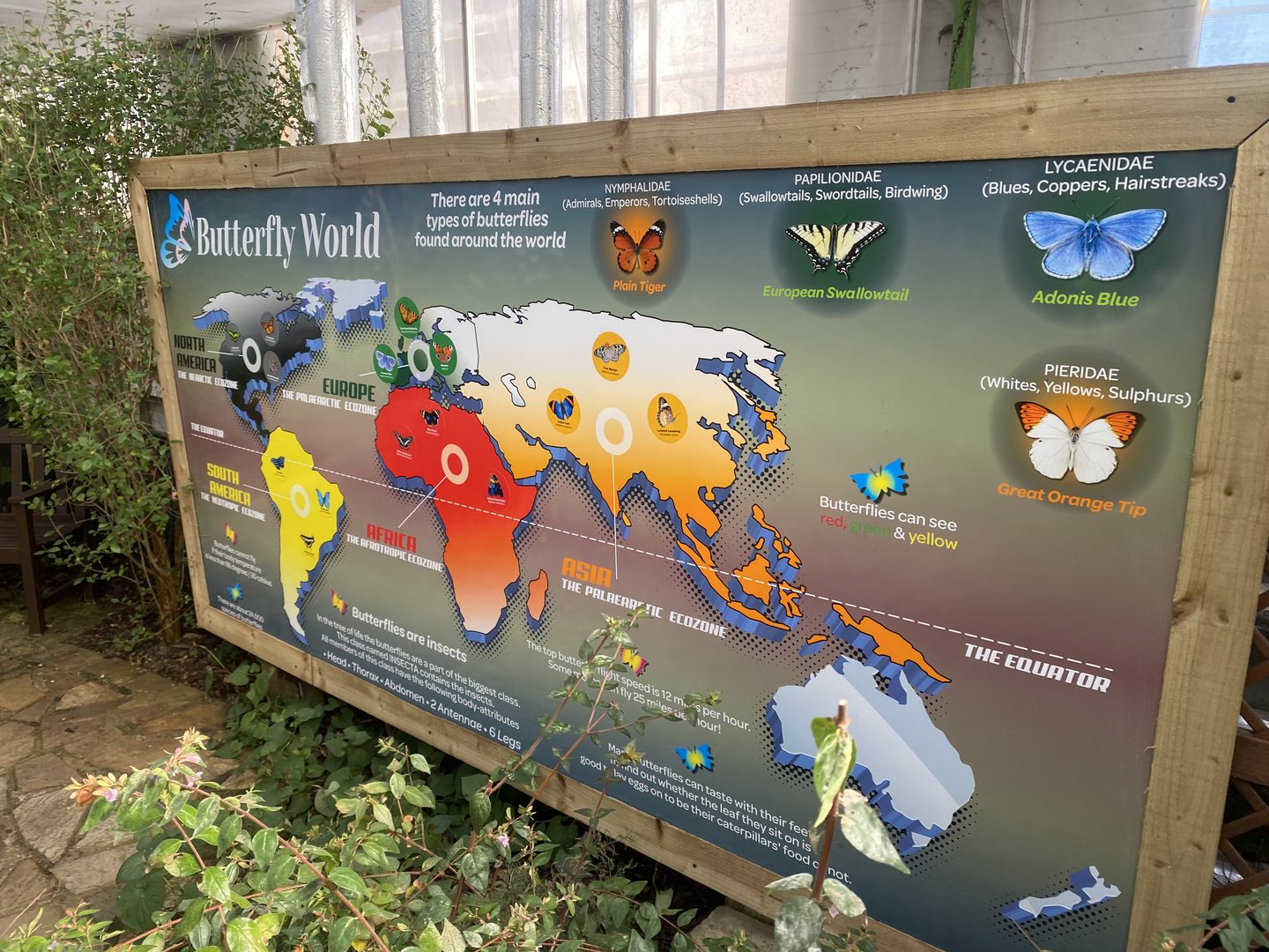 Butterfly World IOW - Signage example 140923