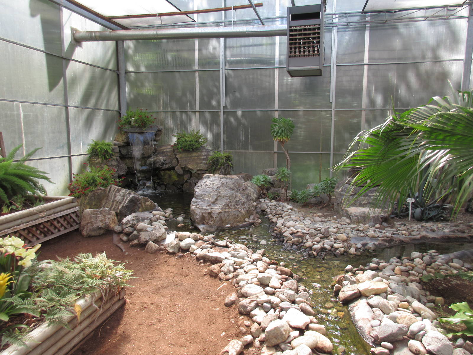 Butterfly World - Orchid Garden Pool