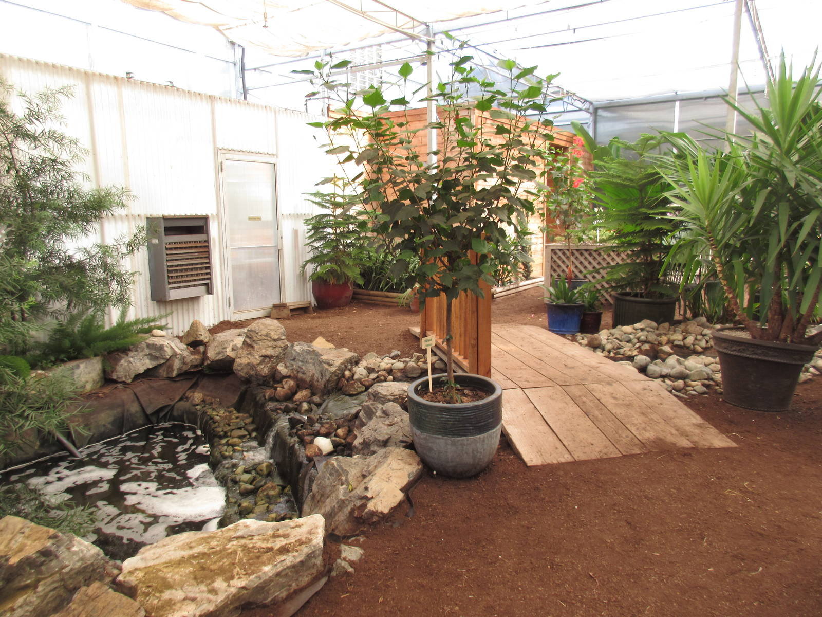 Butterfly World - Orchid Garden