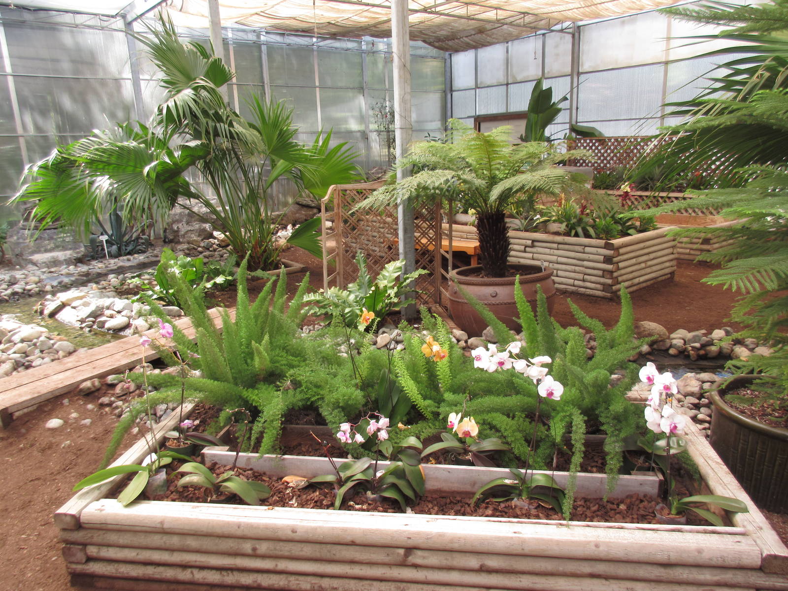 Butterfly World - Orchid Garden