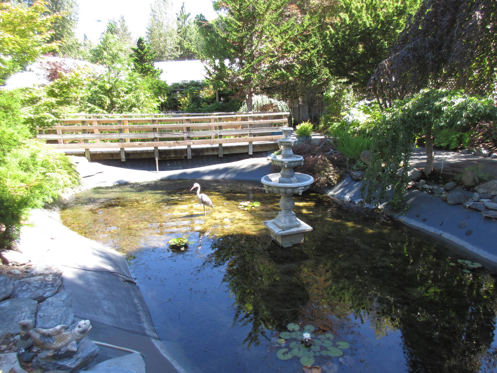 Butterfly World - Outdoor Garden