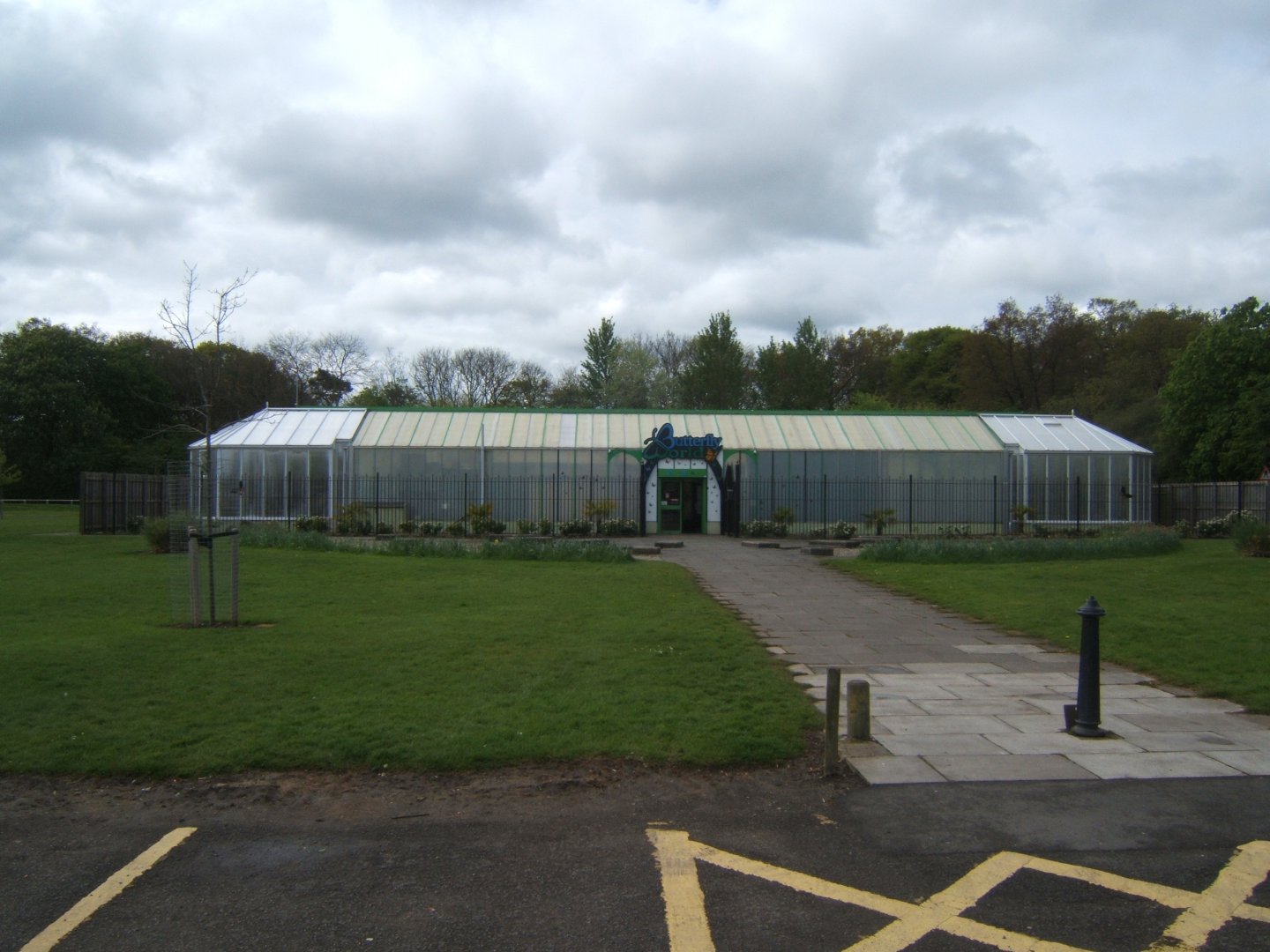 Butterfly World Stockton 27/4/2017