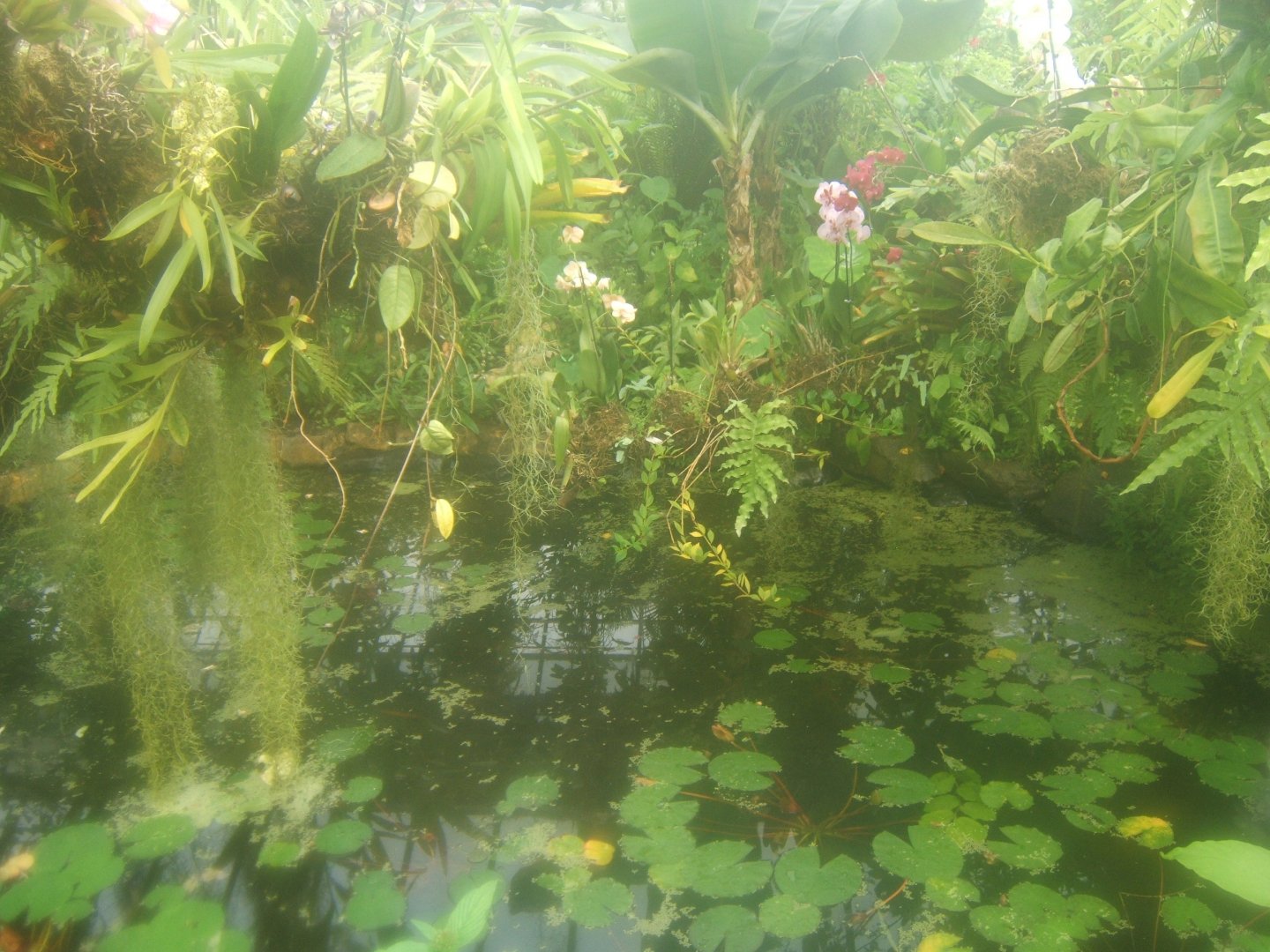 Butterfly World Stockton 27/4/2017