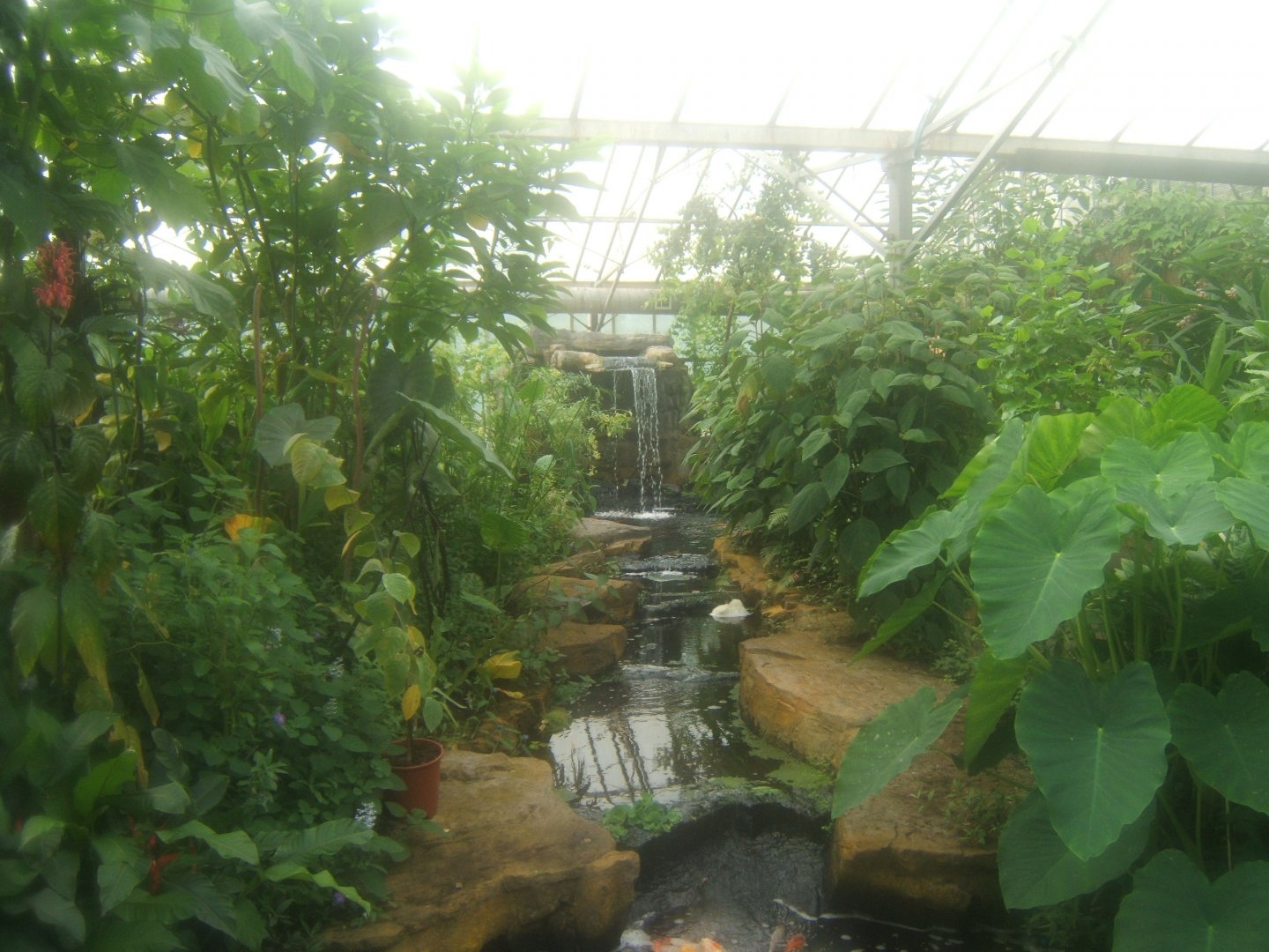 Butterfly World Stockton 27/4/2017