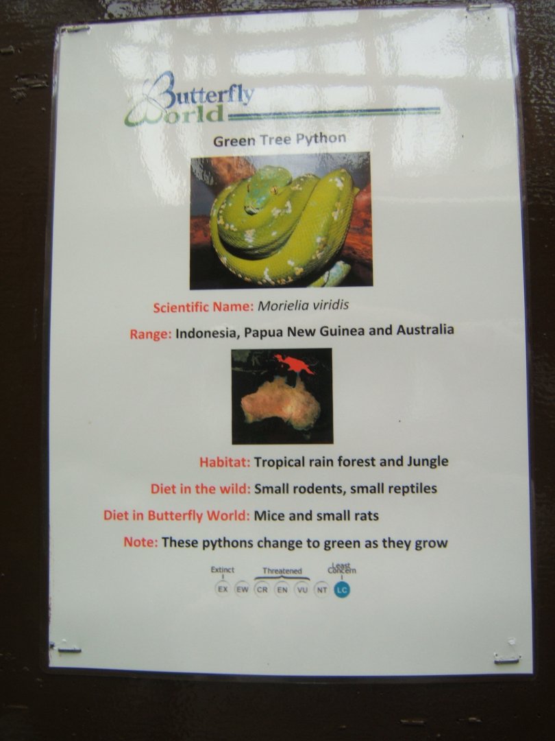 Butterfly World Stockton 27/4/2017