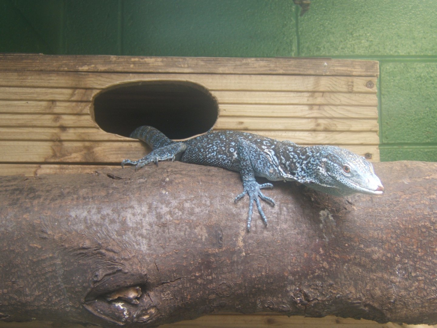 Butterfly World Stockton 27/4/2017