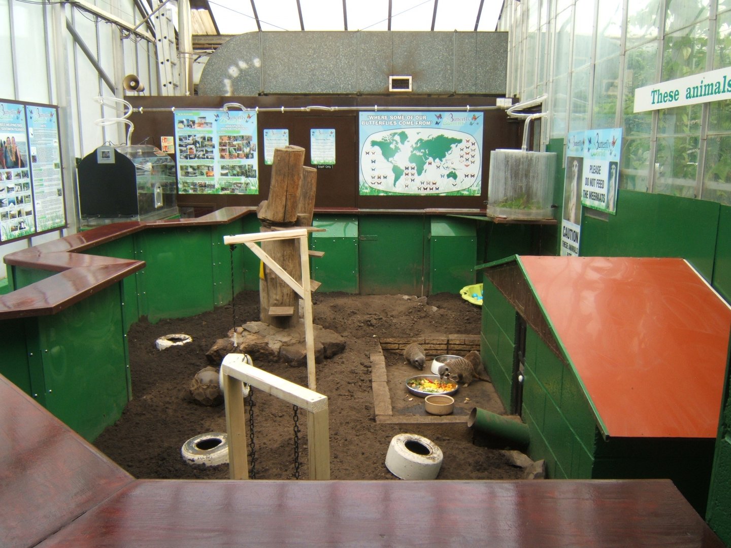 Butterfly World Stockton 27/4/2017