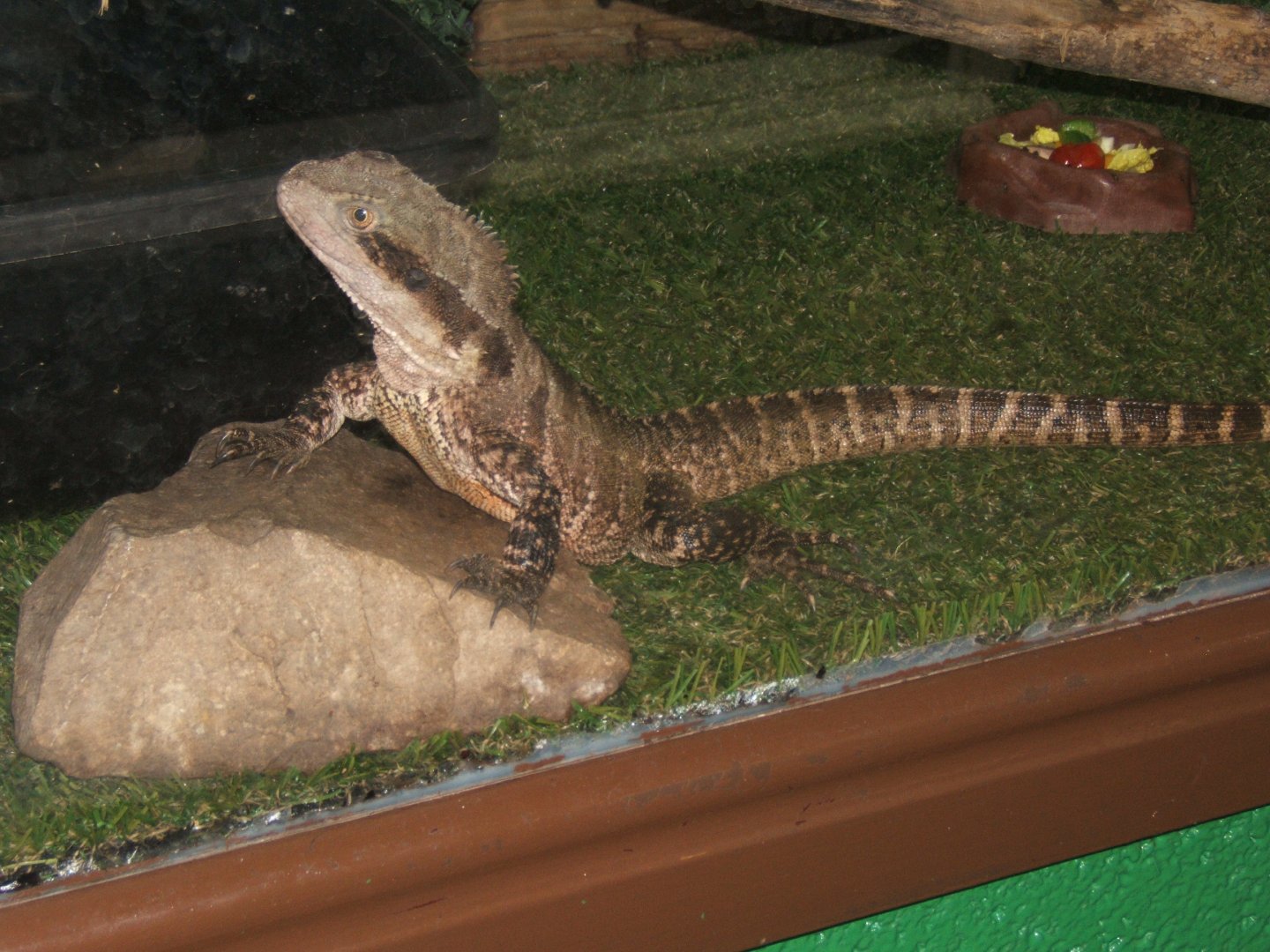 Butterfly World Stockton 27/4/2017