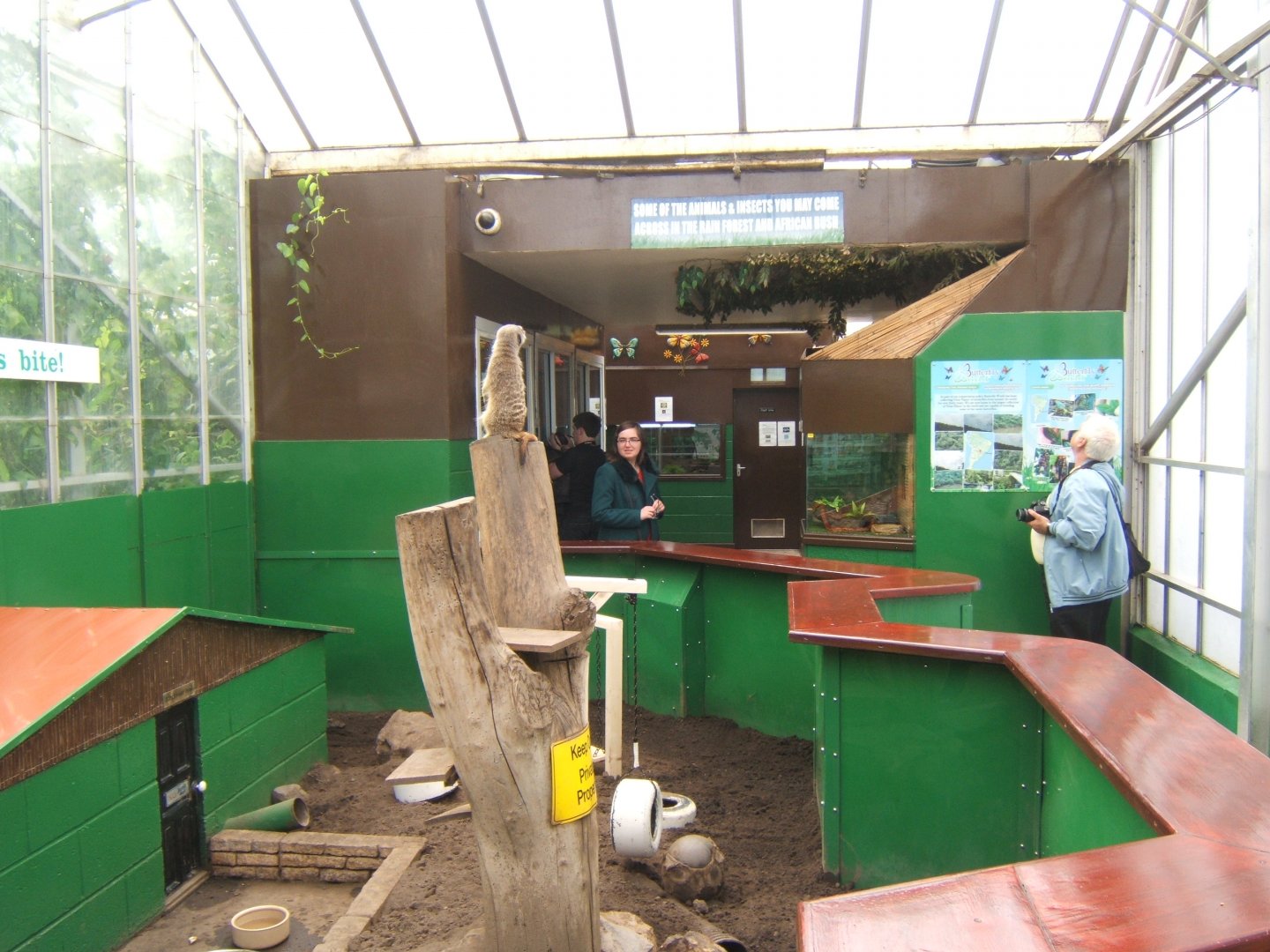 Butterfly World Stockton 27/4/2017