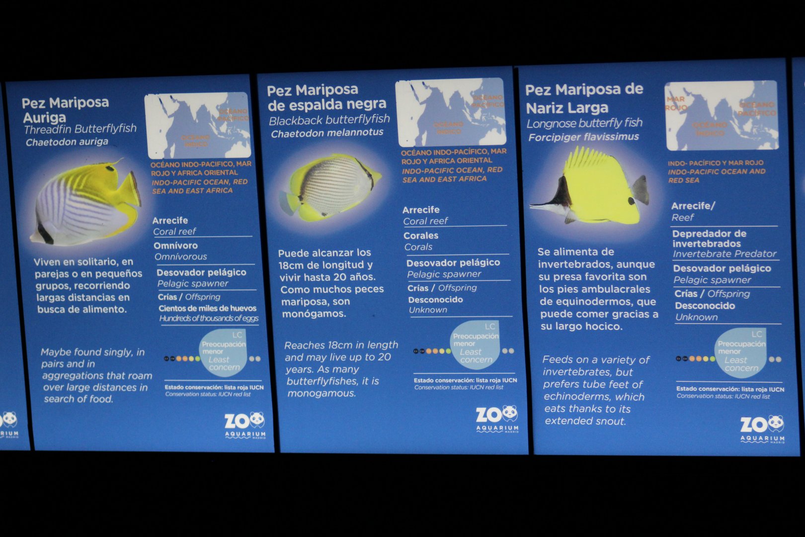 Butterflyfish Signage