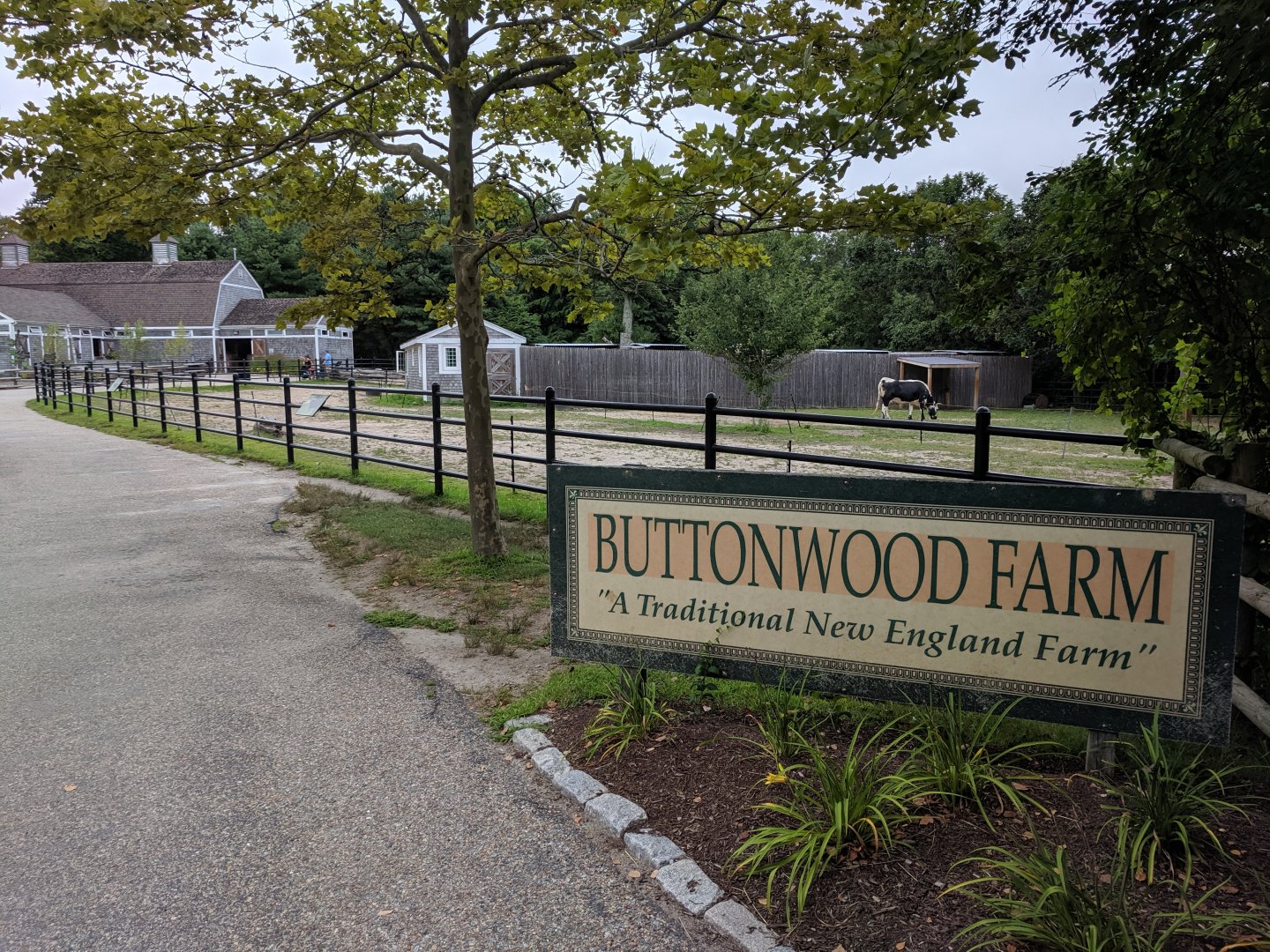 Buttonwood Farm