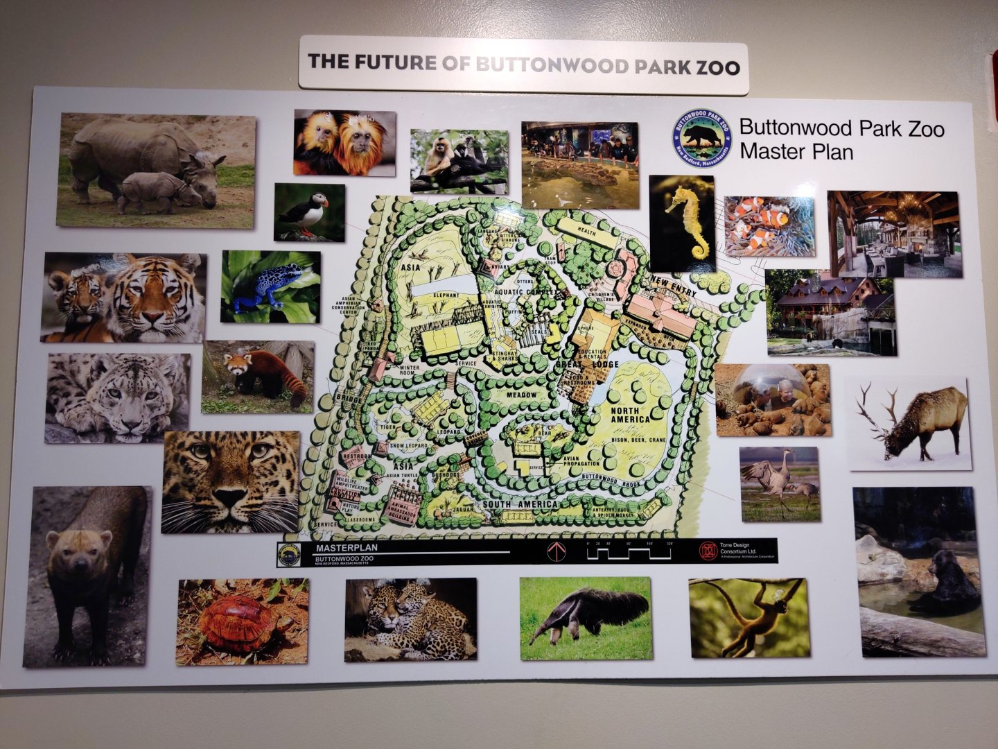 Buttonwood Park Zoo master plan