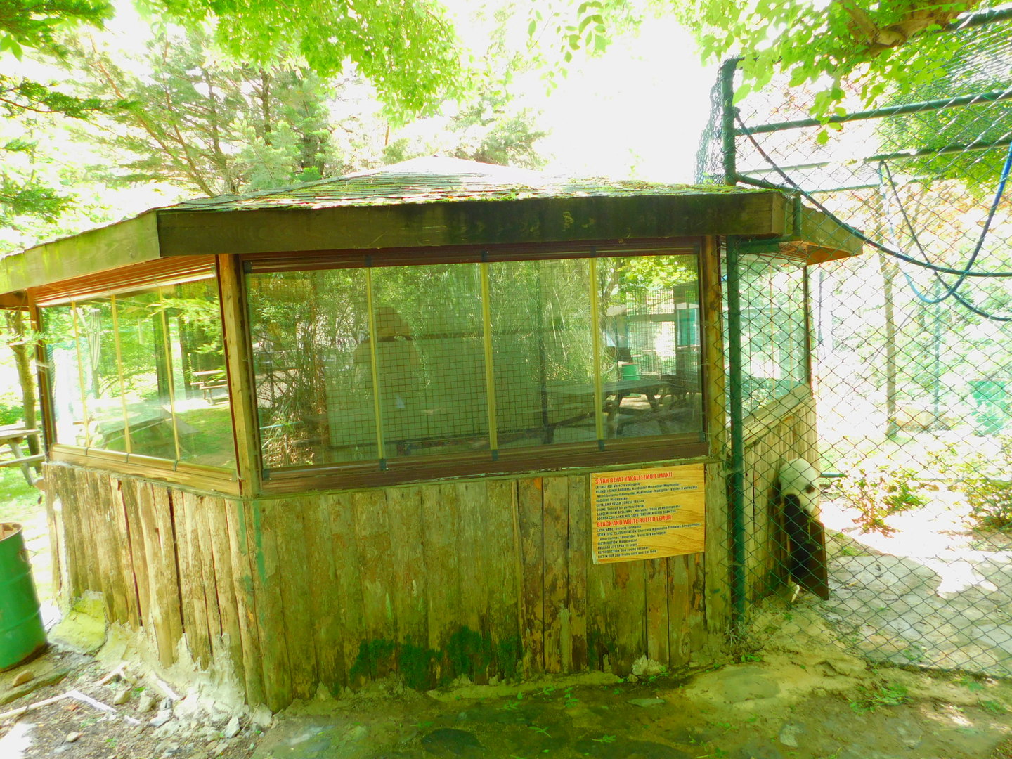 BW Ruffed Lemur Enclosure
