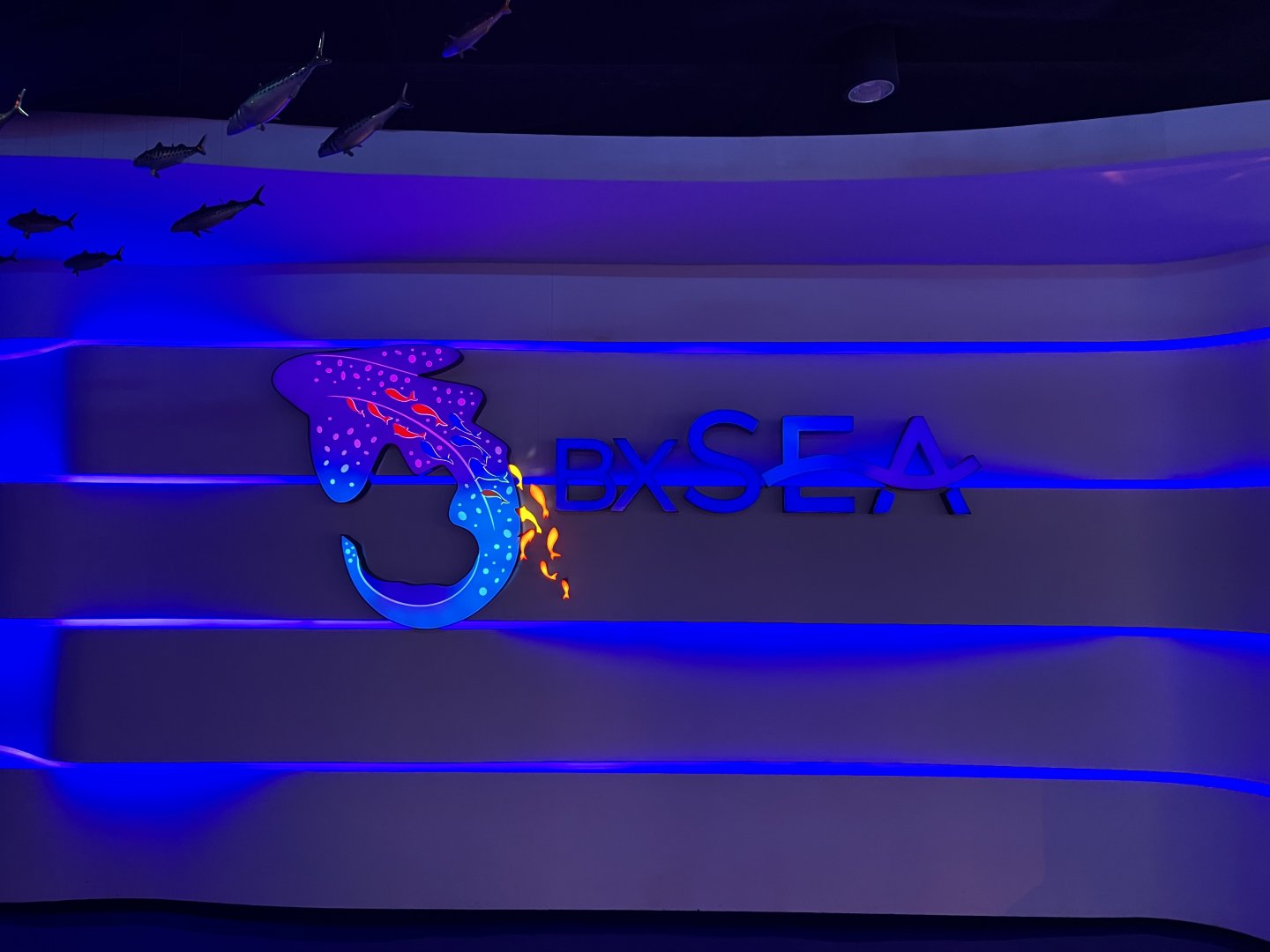 BX Sea’s logo