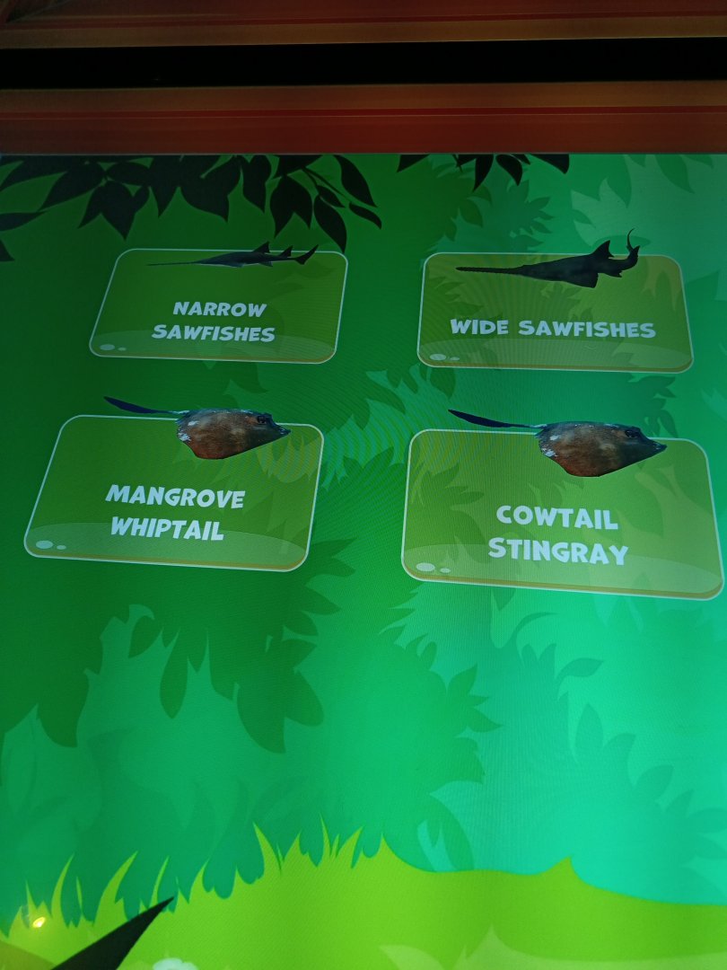 BXSea Aquarium - Signage for Narrow and Wide Sawfish (Anoxypristis cuspidata and Pristis zijsron)