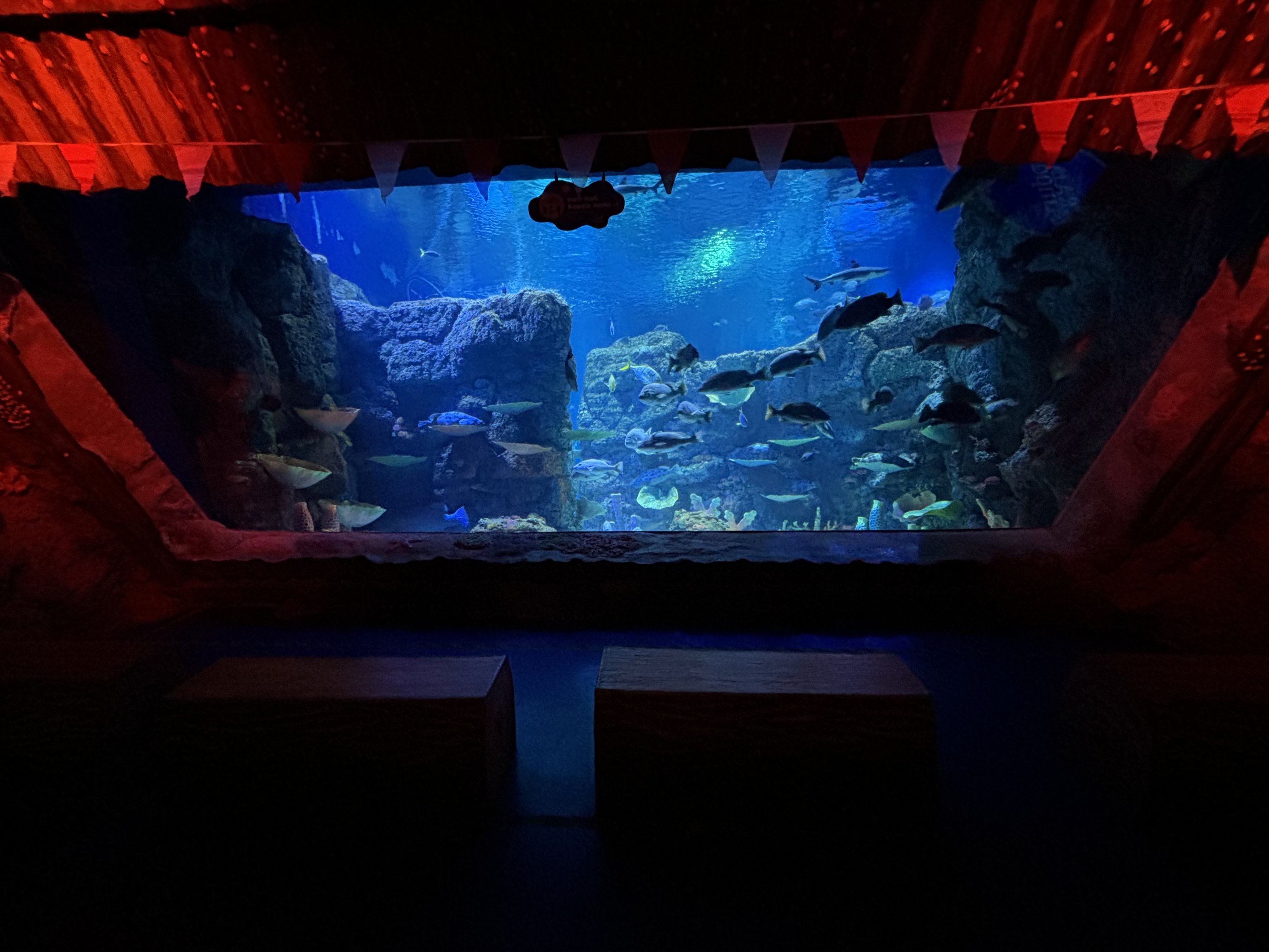 BXSea Aquarium