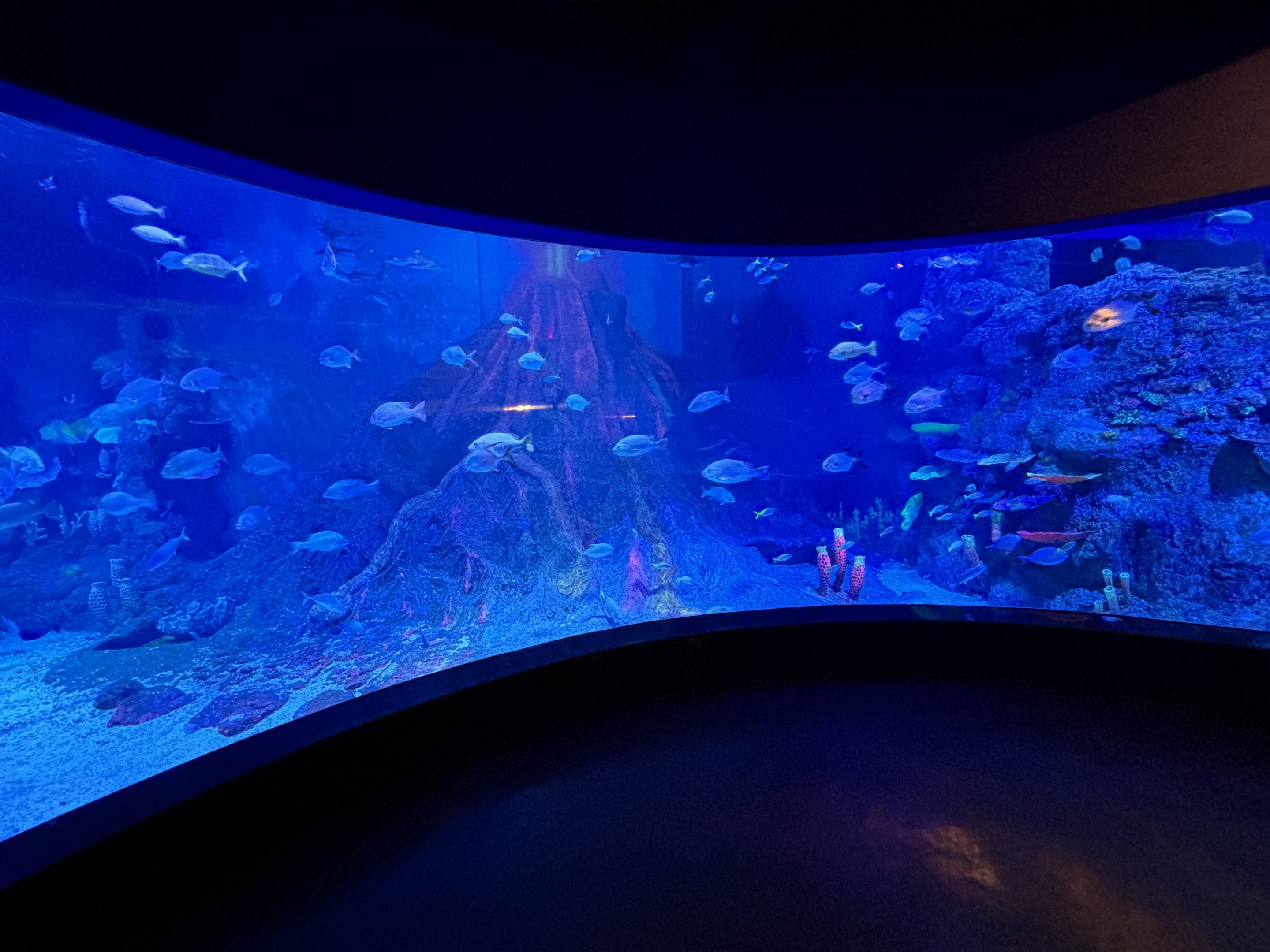 BXSea Aquarium