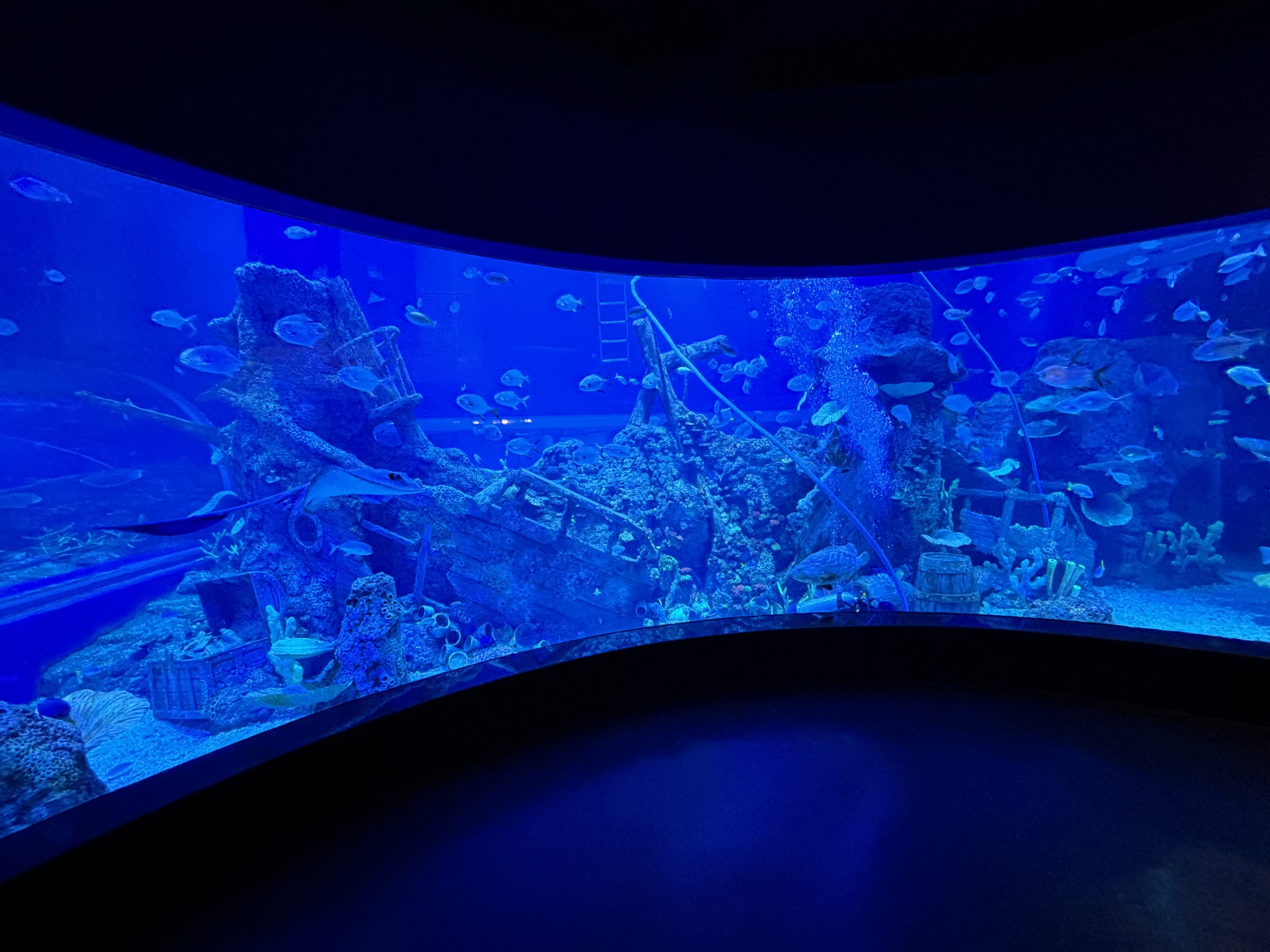 BXSea Aquarium