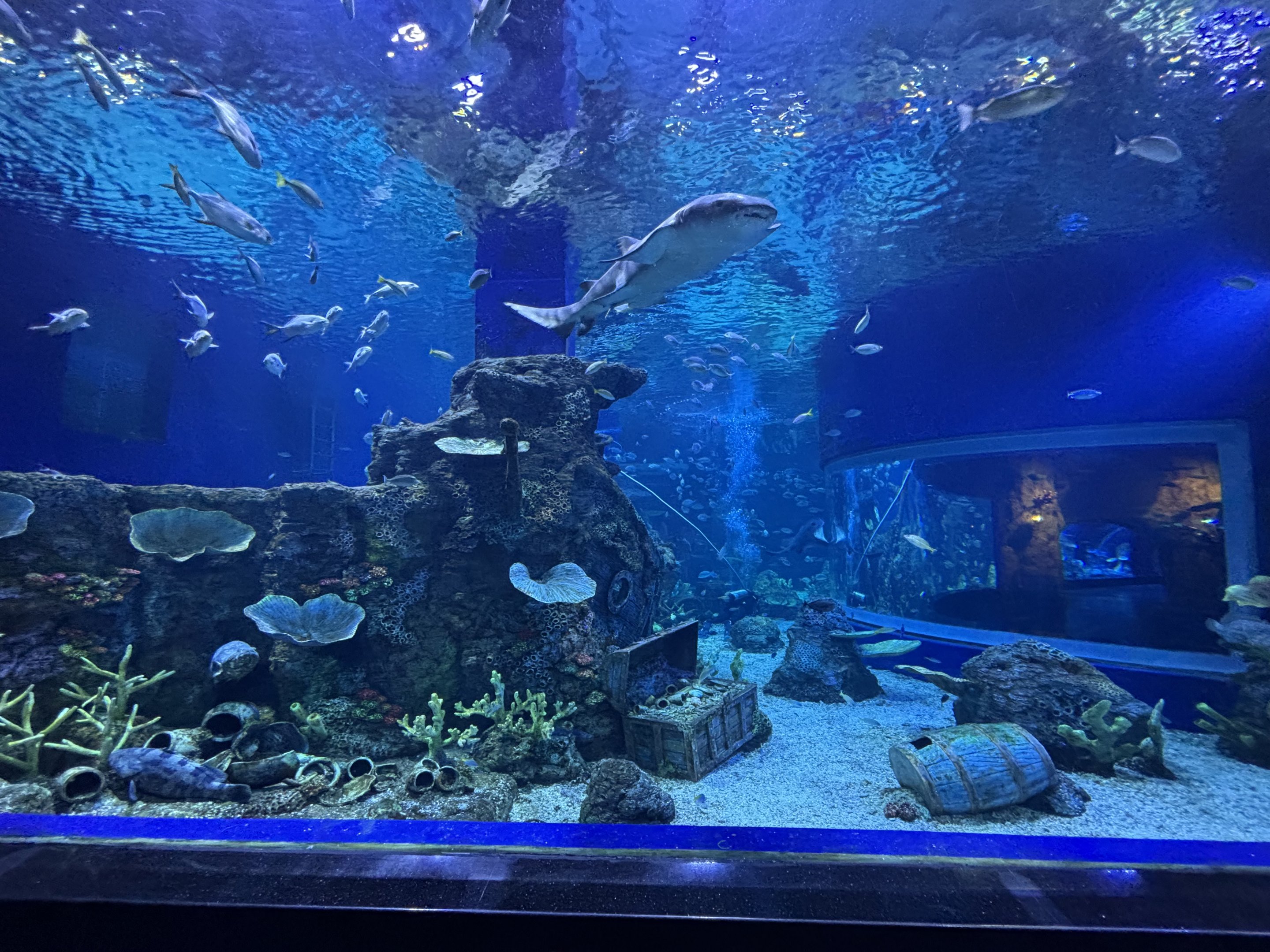 BXSea Aquarium