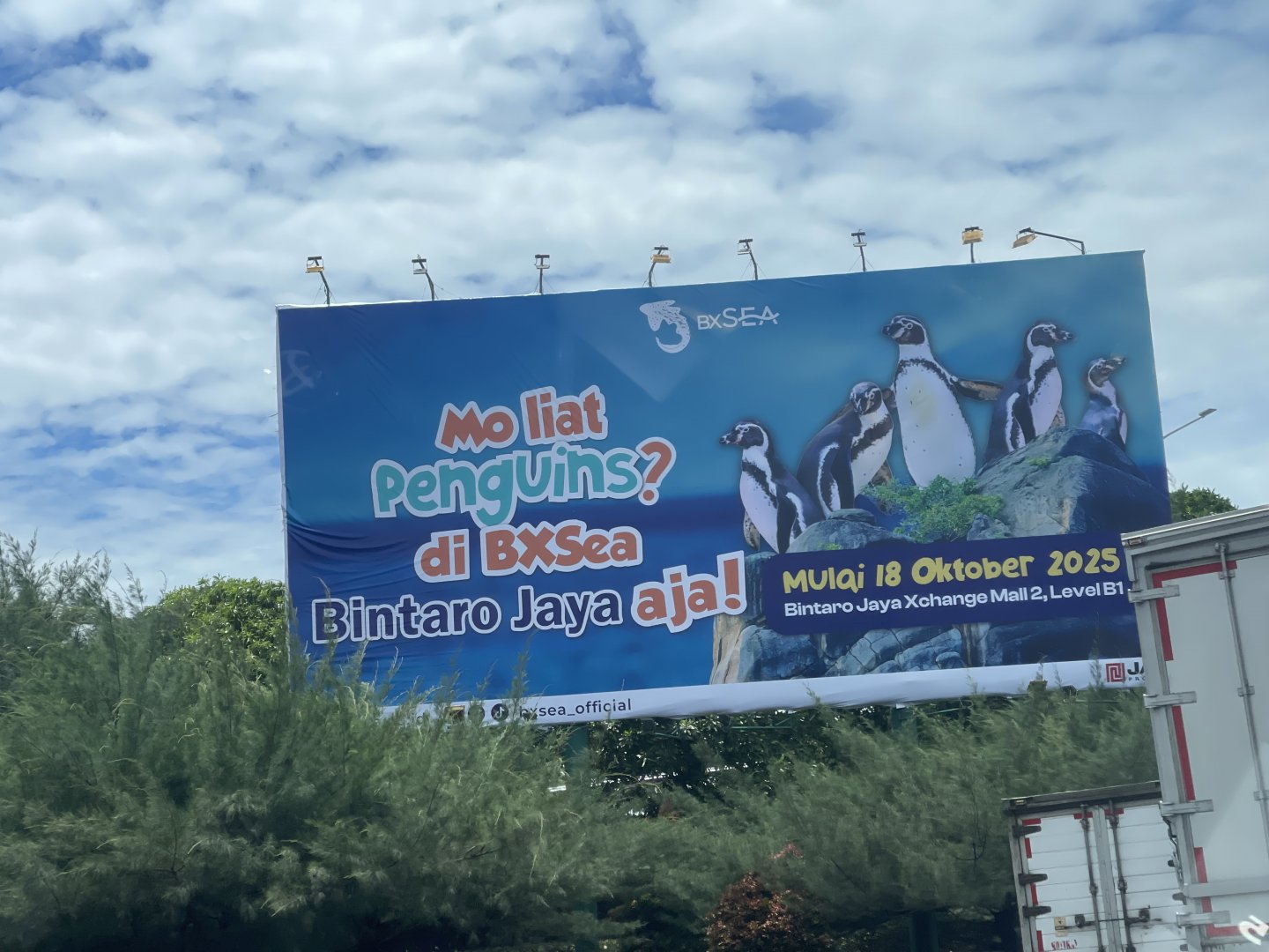 BXSea’s penguins billboard ad