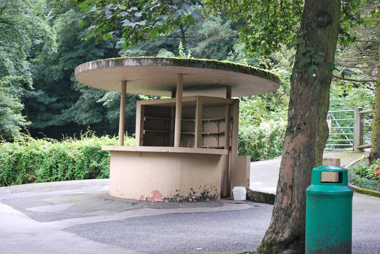 by red squirrel enclosure