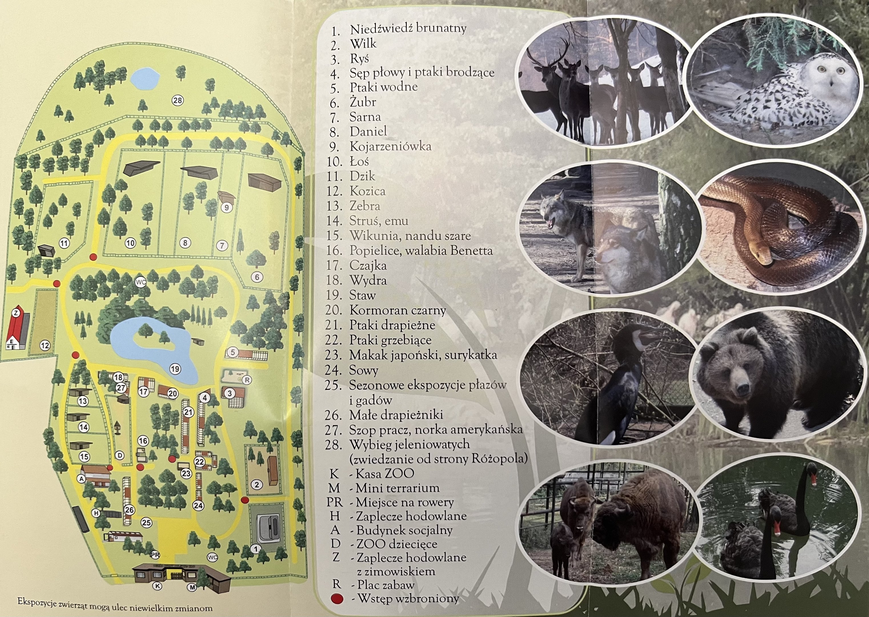 Bydgoszcz Zoo - 2010?