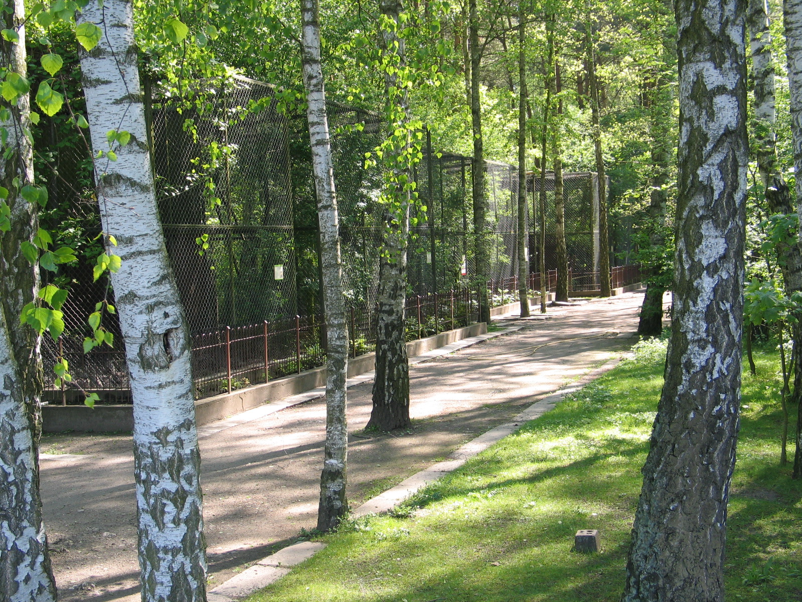 Bydgoszcz Zoo / May 2005