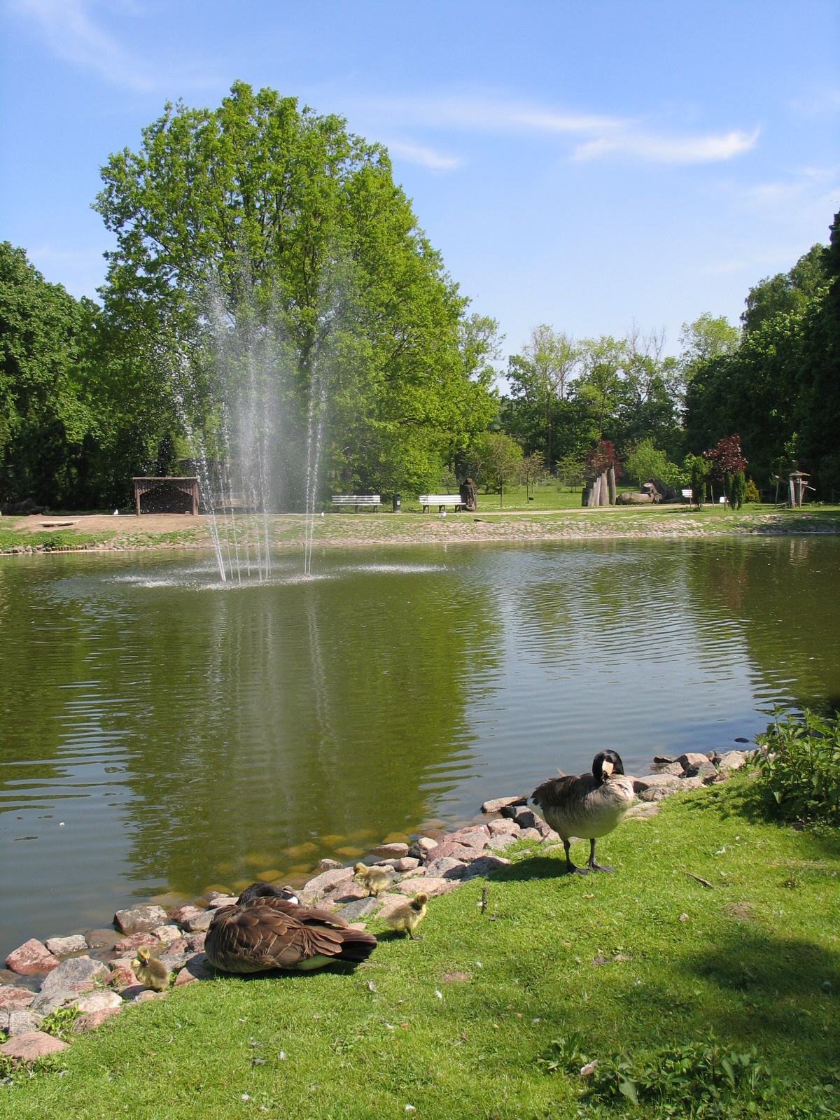 Bydgoszcz Zoo / May 2005