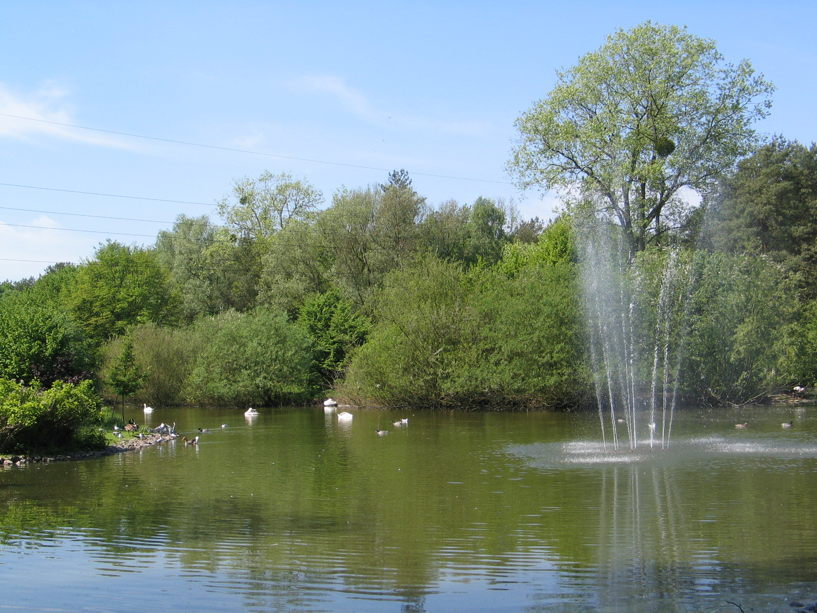 Bydgoszcz Zoo / May 2005