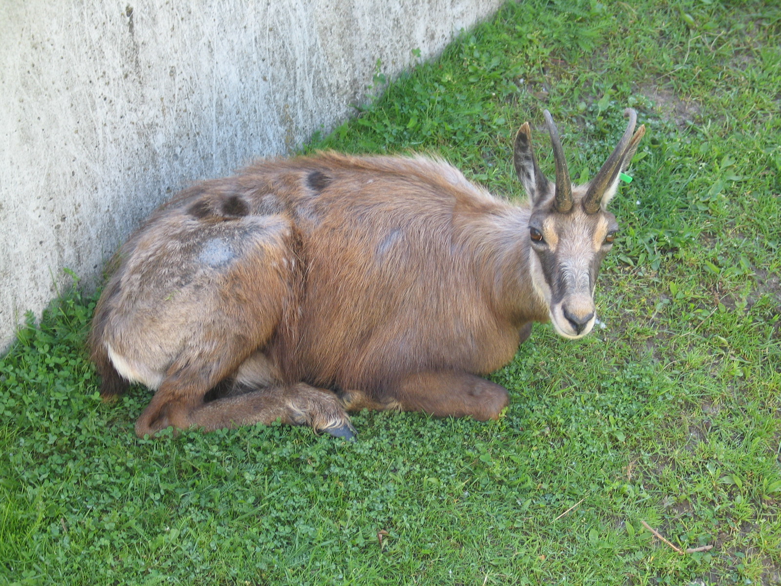 Bydgoszcz Zoo / May 2005