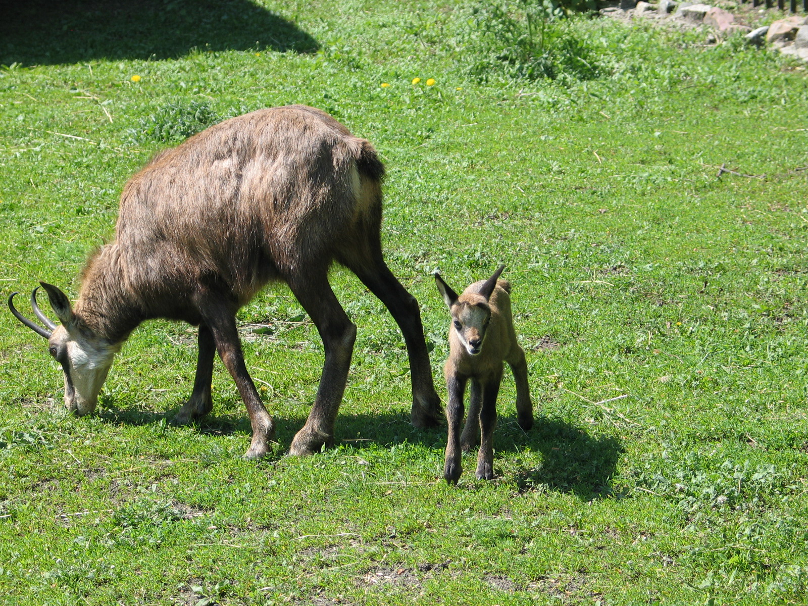 Bydgoszcz Zoo / May 2005