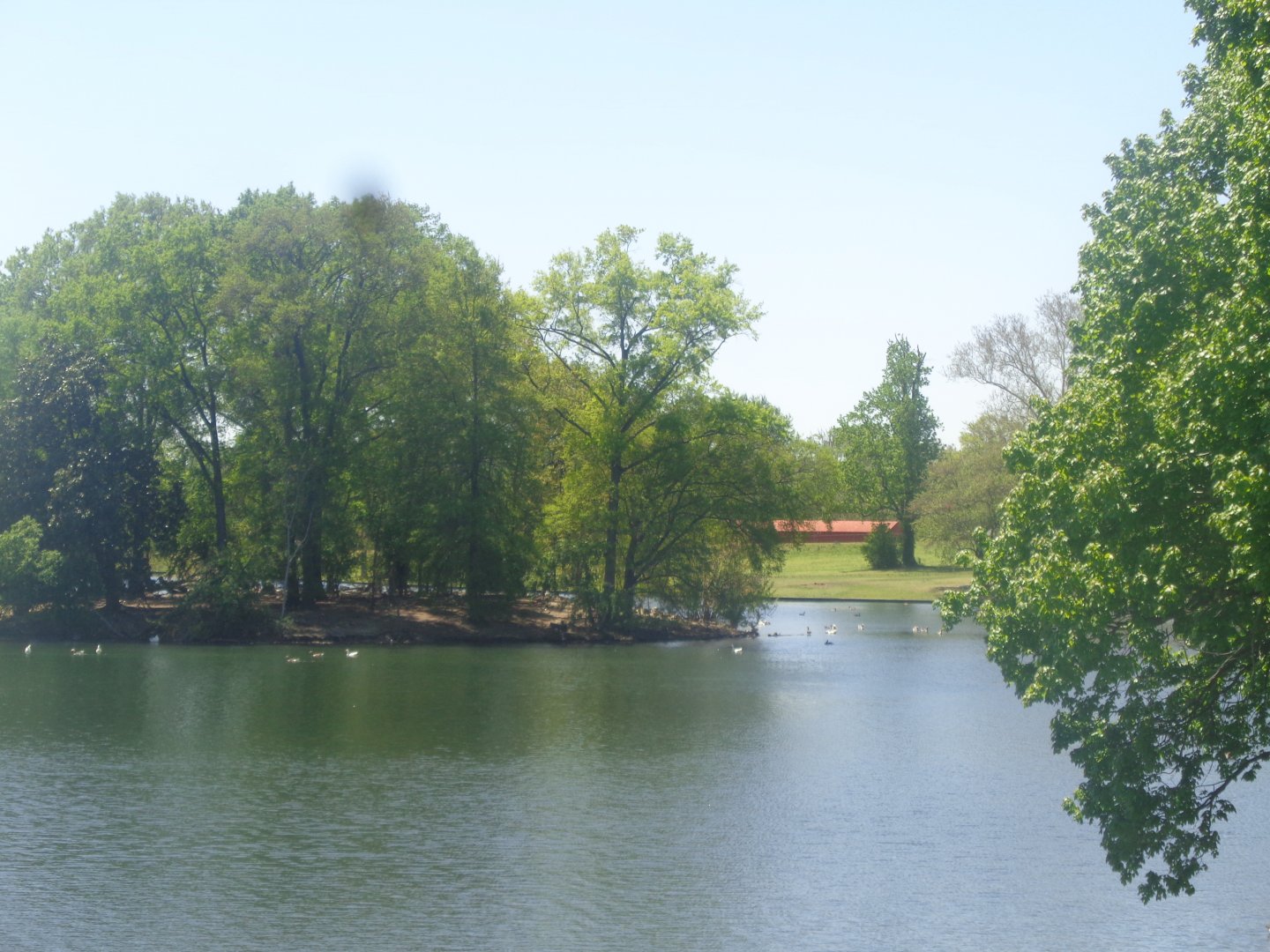 Byrd Park Waterfowl Pond Richmond, VA