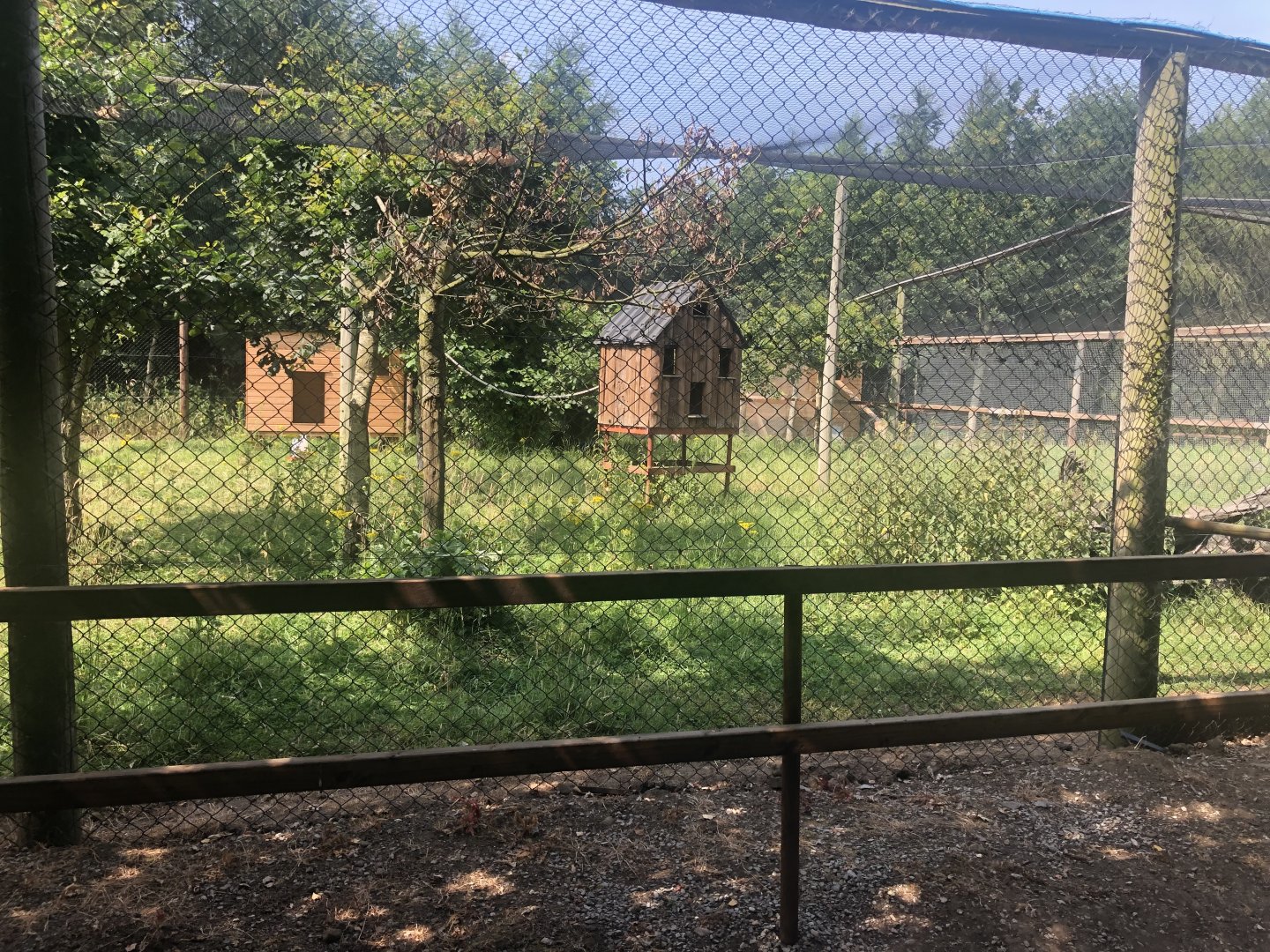 C&J’s animal park - Black and white ruffed lemur exhibit