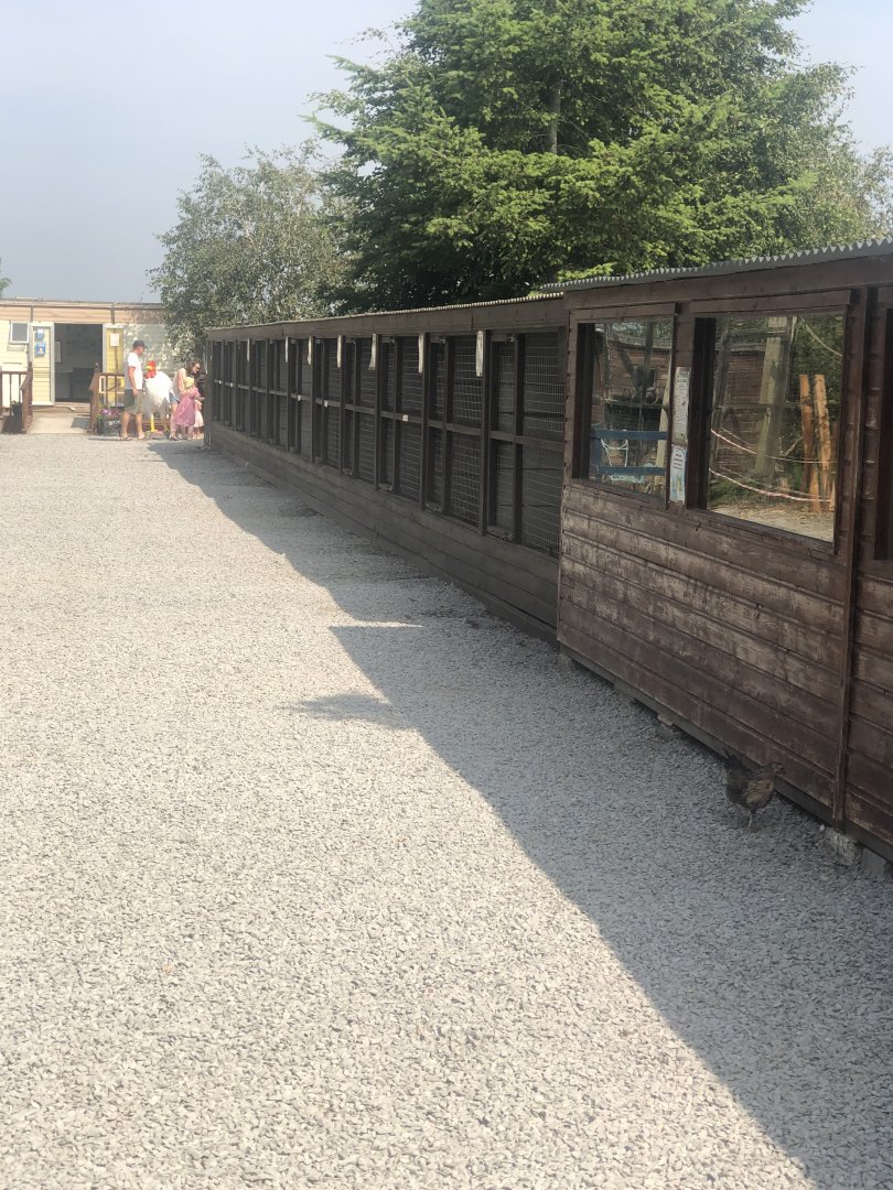 C&J’s animal park - Fowls (left aviaries) and Nile crocodiles (house on the right)