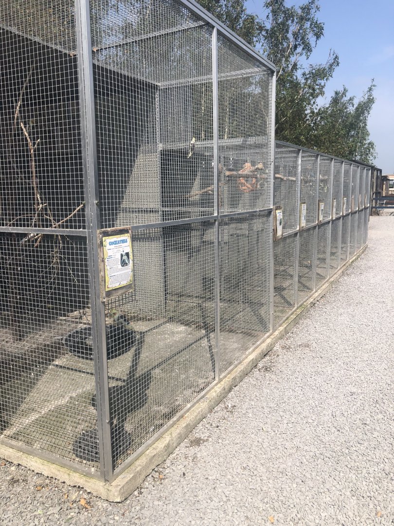 C&J’s animal park - Parrot aviaries